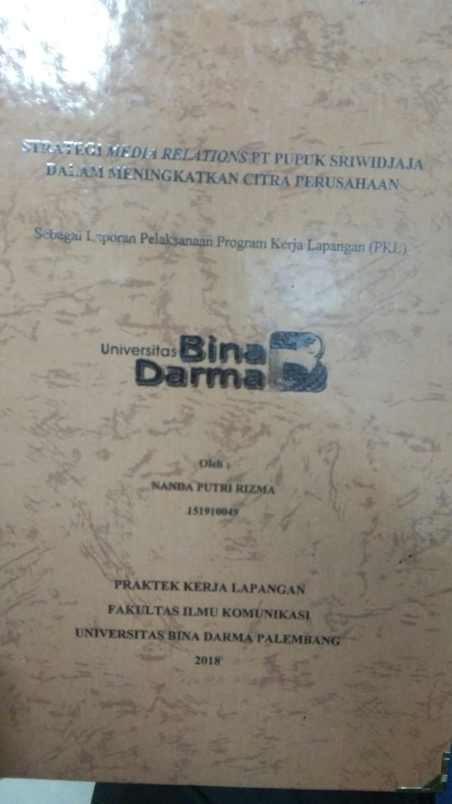 Cover STRATEGI MEDIA RELATIONS PT PUPUK SRIWIDJAJA DALAM MENINGKATKAN CITRA PERUSAHAAN / NANDA PUTRI RIZMA
