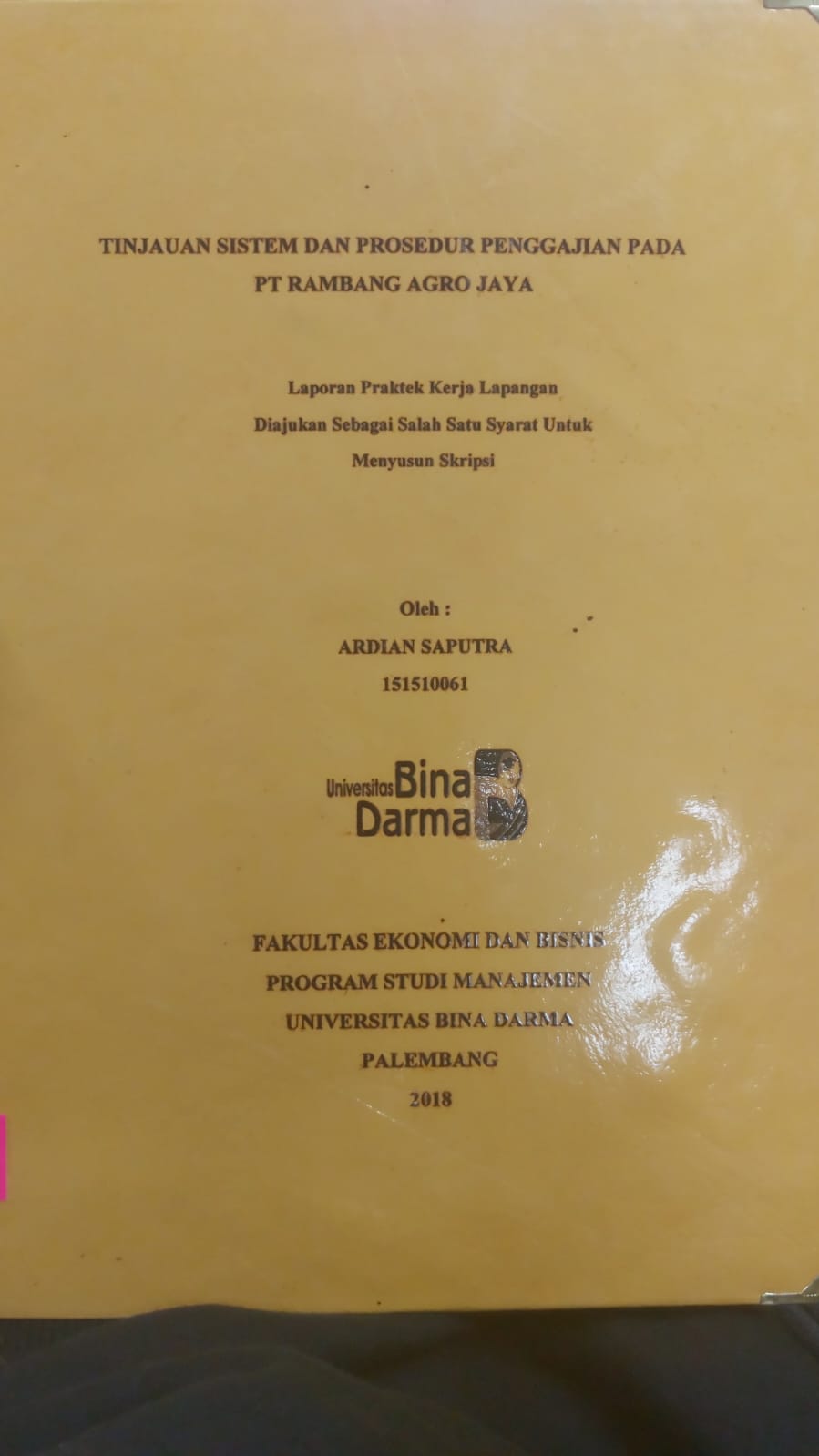 Cover TINJAUAN SISTEM DAN PROSEDUR PENGGAJIAN PADA PT RAMBANG AGRO JAYA / ARDIAN SAPUTRA