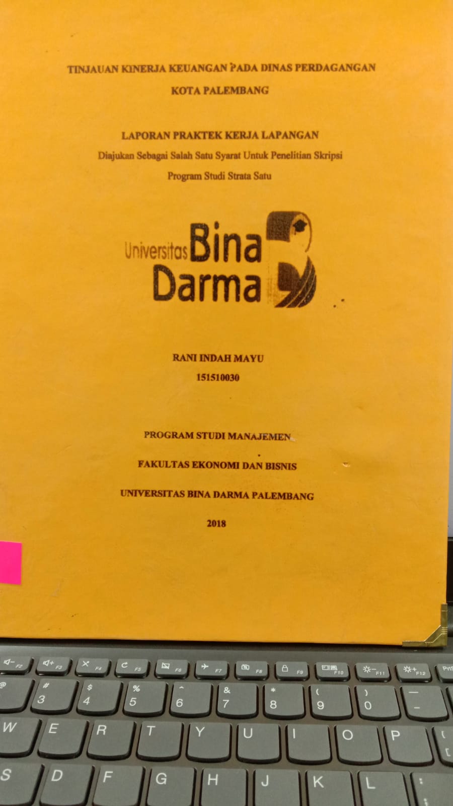 Cover TI NJAUAN KINERJA KEUANGAN PADA  DINAS PERDAGANGAN KOTA PALEMBANG / RANI INDAH MAYU