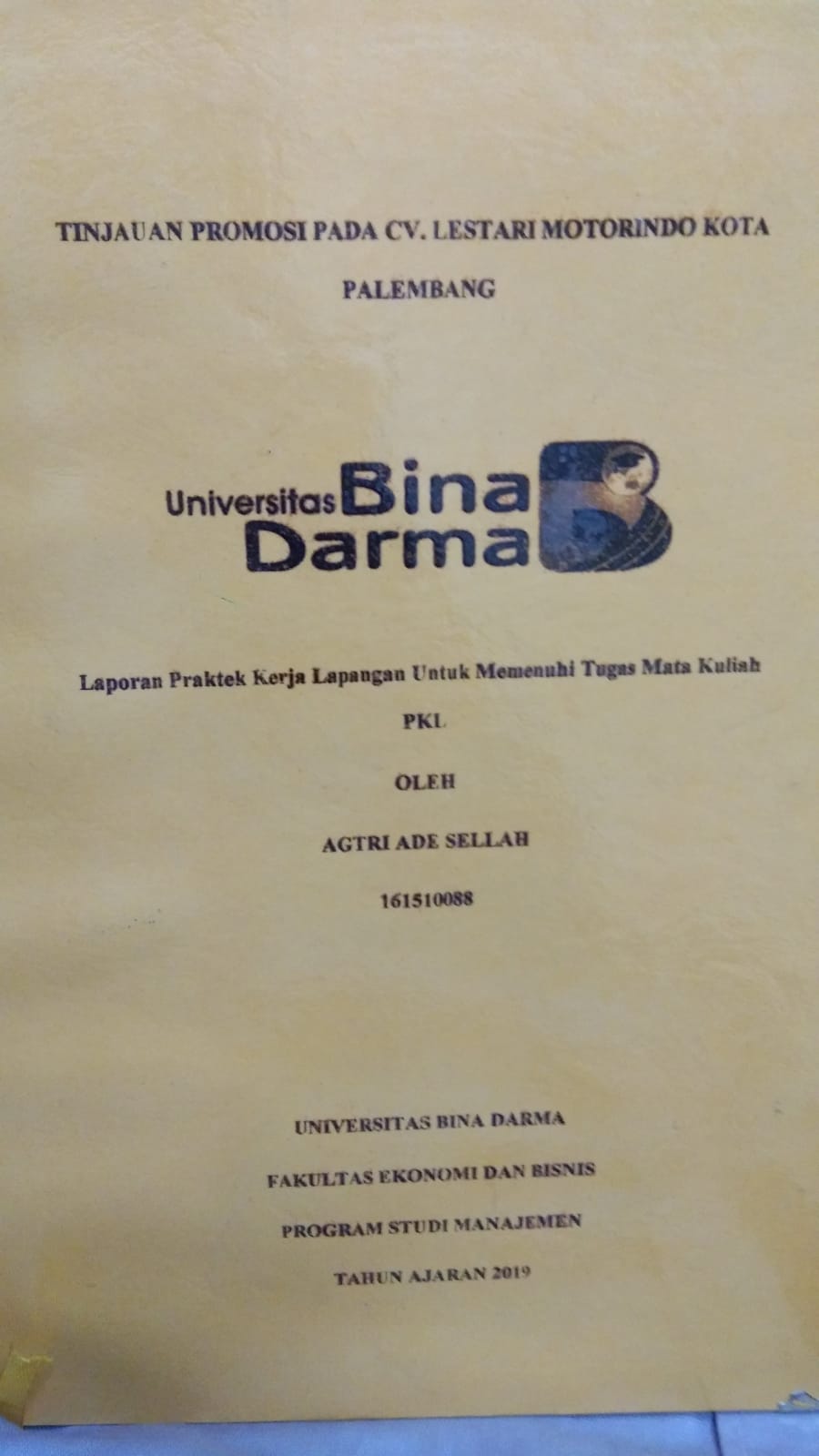 Cover TINJAUAN PROMOSI PADA CV. LESTARI MOTORINDO KOTA PALEMBANG / AGTRI ADE SELLAH