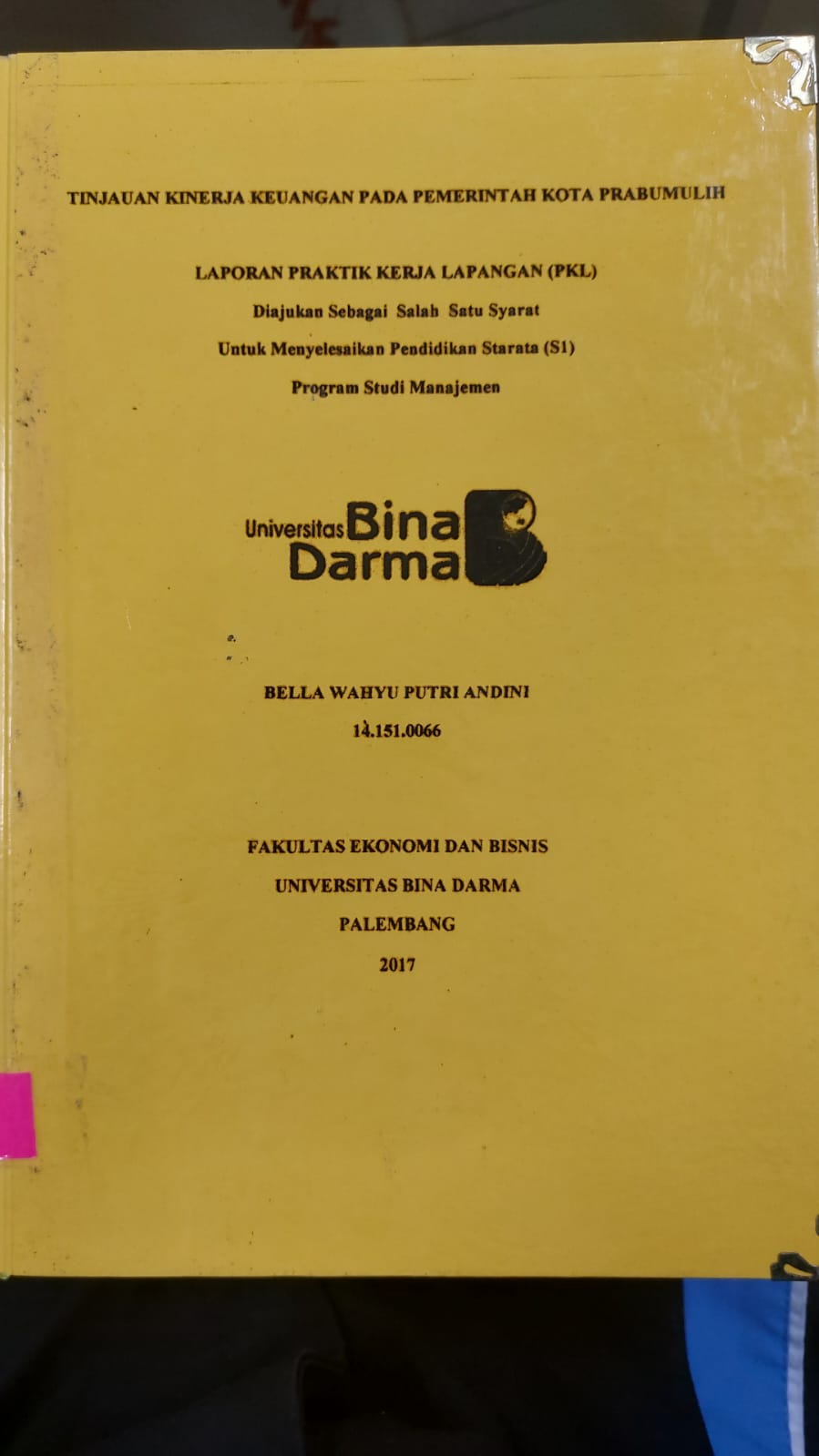 Cover TINJAUAN KINERJA KEUANGAN PADA PEMERINTAH KOTA PRABUMULIH / BELLA WAHYU PUTRI ANDINI