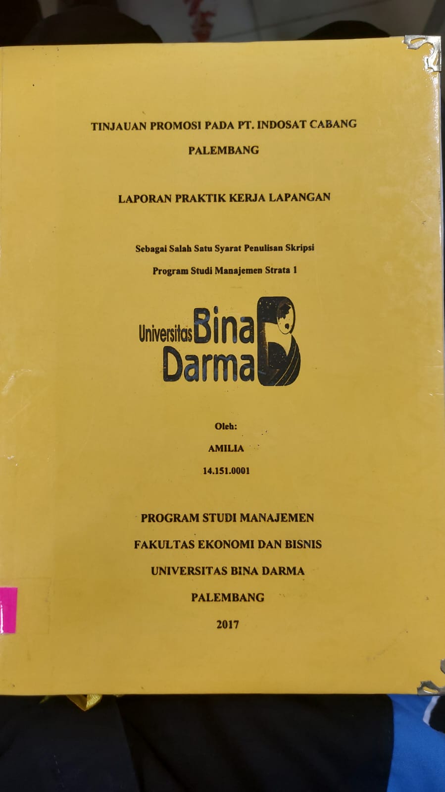 Cover TINJAUAN PROMOSI PADA PT.INDOSAT CABANG PALEMBANG / AMILIA