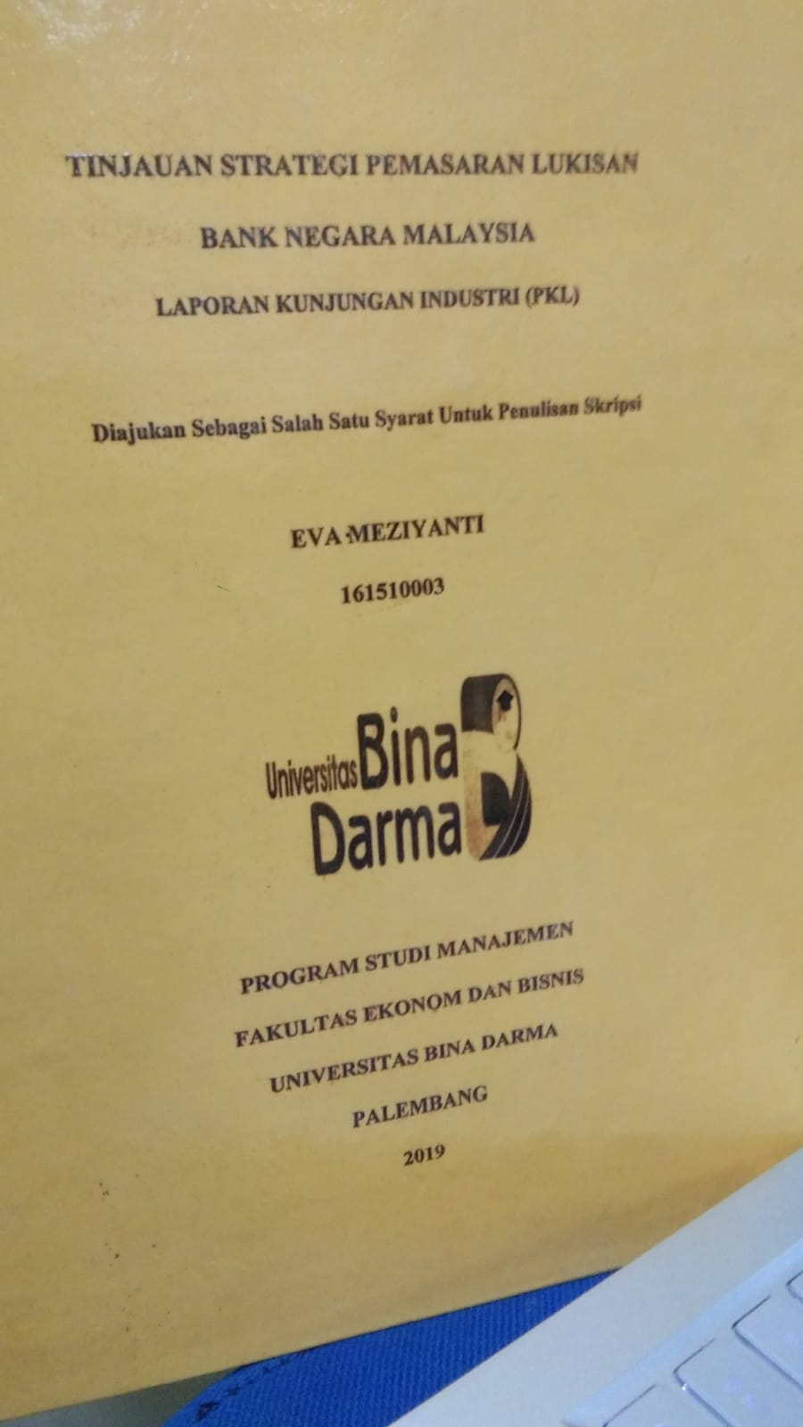 Cover TINJAUAN STRATEGI PEMASARAN LUKISAN BANK NEGARA MALAYSIA / EVA MEZIYANTI