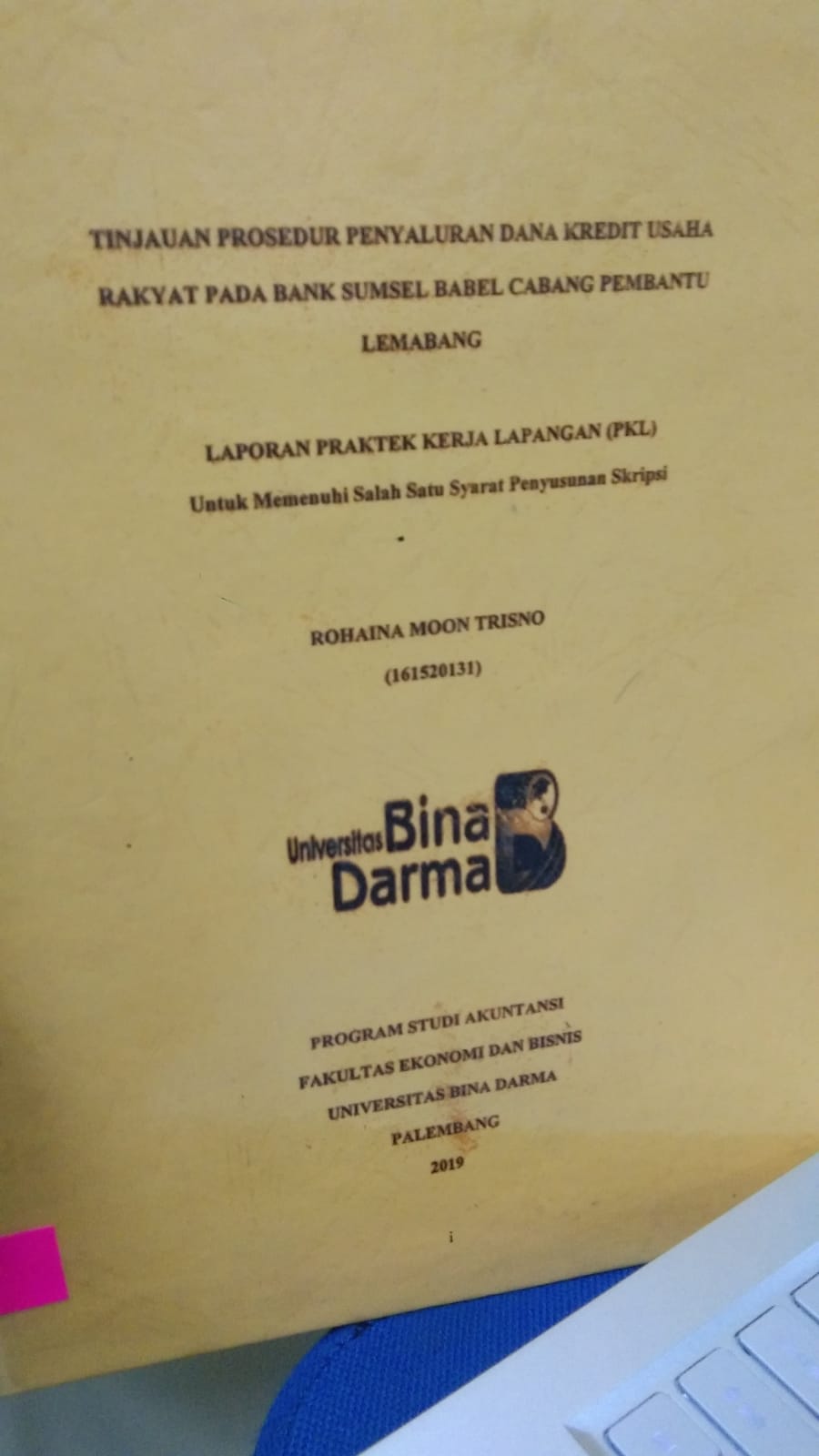 Cover TINJAUAN PROSEDUR PENYALURAN DANA KREDIT USAHA RAKYAT PADA BANK SUMSEL BABEL CABANG PEMBANTU LEMABANG / ROHAINA MOON TRISNO
