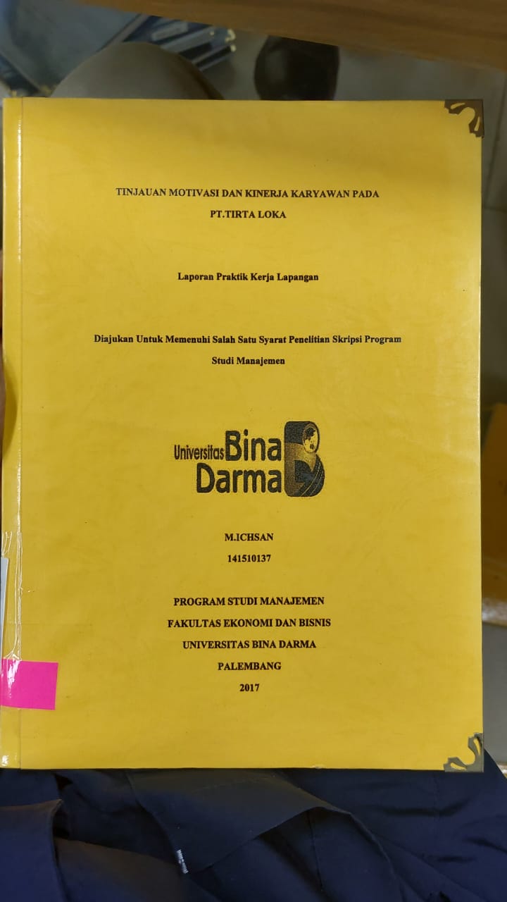 Cover TINJAUAN MOTIVASI DAN KINERJA KARYAWAN PADA PT.TIRTA LOKA / M.ICHSAN
