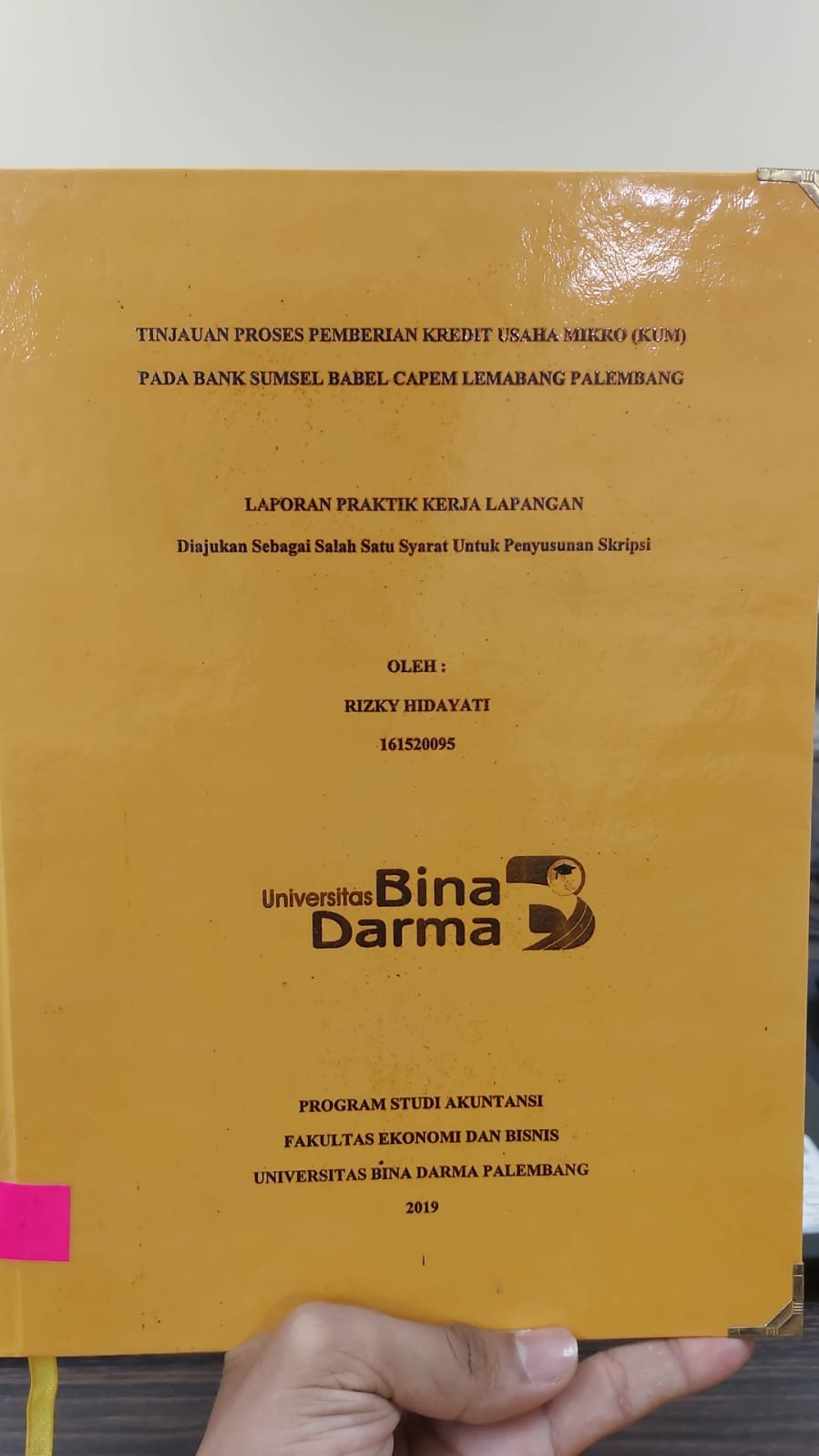 Cover TINJAUAN PROSES PEMBERIAN KREDIT USAHA MIKRO (KUM) PADA BANK SUMSEL BABEL CAPEM LEMABANG PALEMBANG / RIZKI HIDAYAT