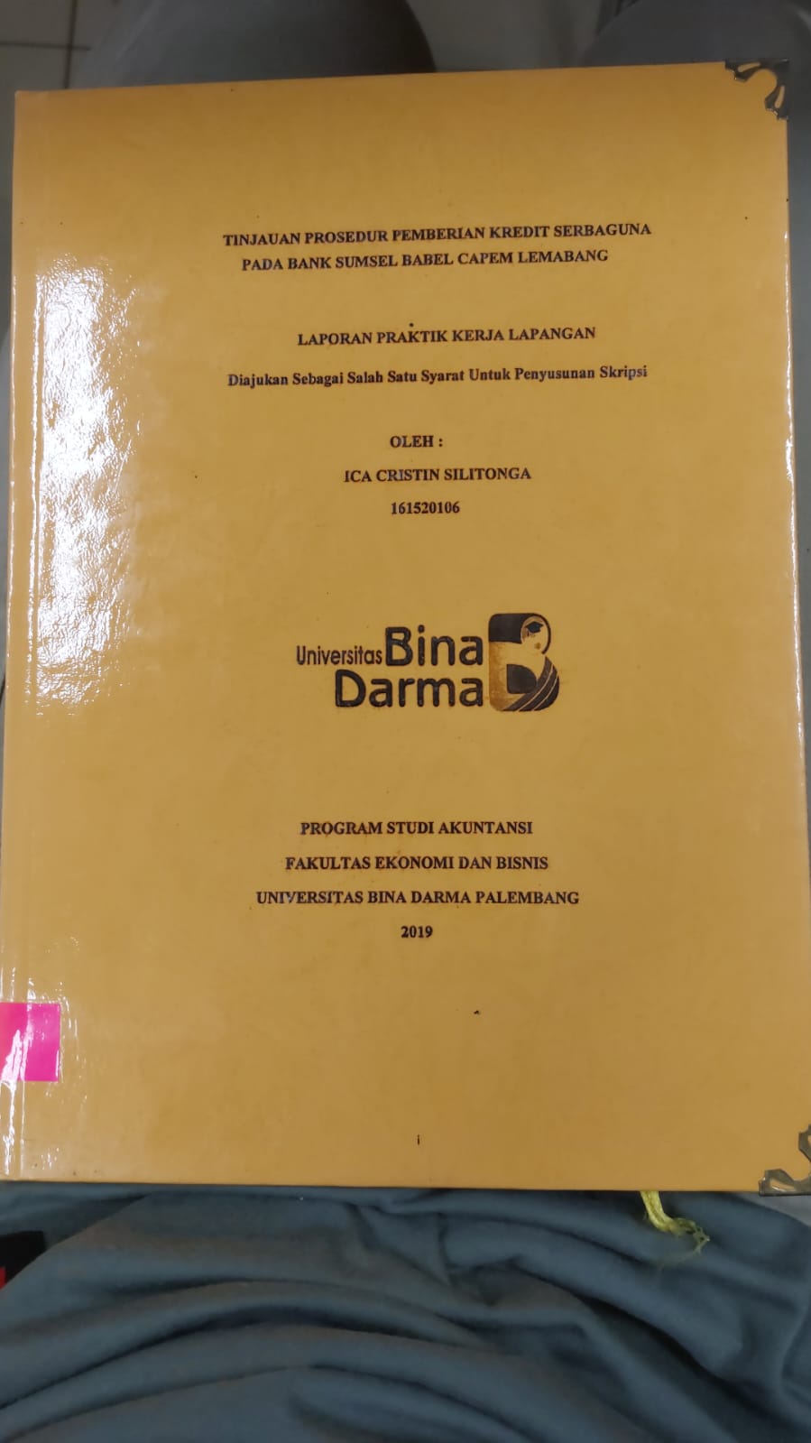 Cover TNJAUAN PROSEDUR PEMBERIAN KREDIT SERBAGUNA PADA BANK SUMSEL BABEL CAPEM LEMABANG / ICA CRISTIN SILITONGA