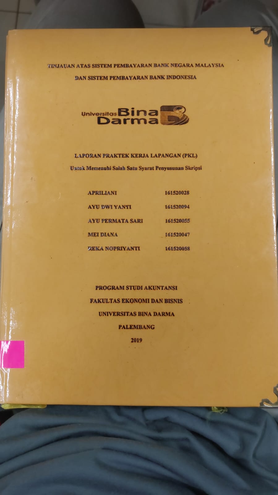 Cover TINJAUAN ATAS SISTEM PEMBAYARAN BANK NEGARA MALAYSIA DAN SISTEM PEMBAYARAN BANK INDONESIA / APRILIANI DKK