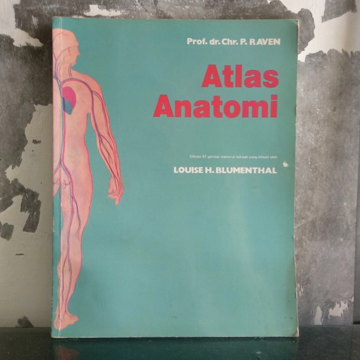 Cover ATLAS ANATOMI :  Dihiasi 81 gambar menurut lukisan yang dibuat oleh Louise H. Blumenthal / P. Raven