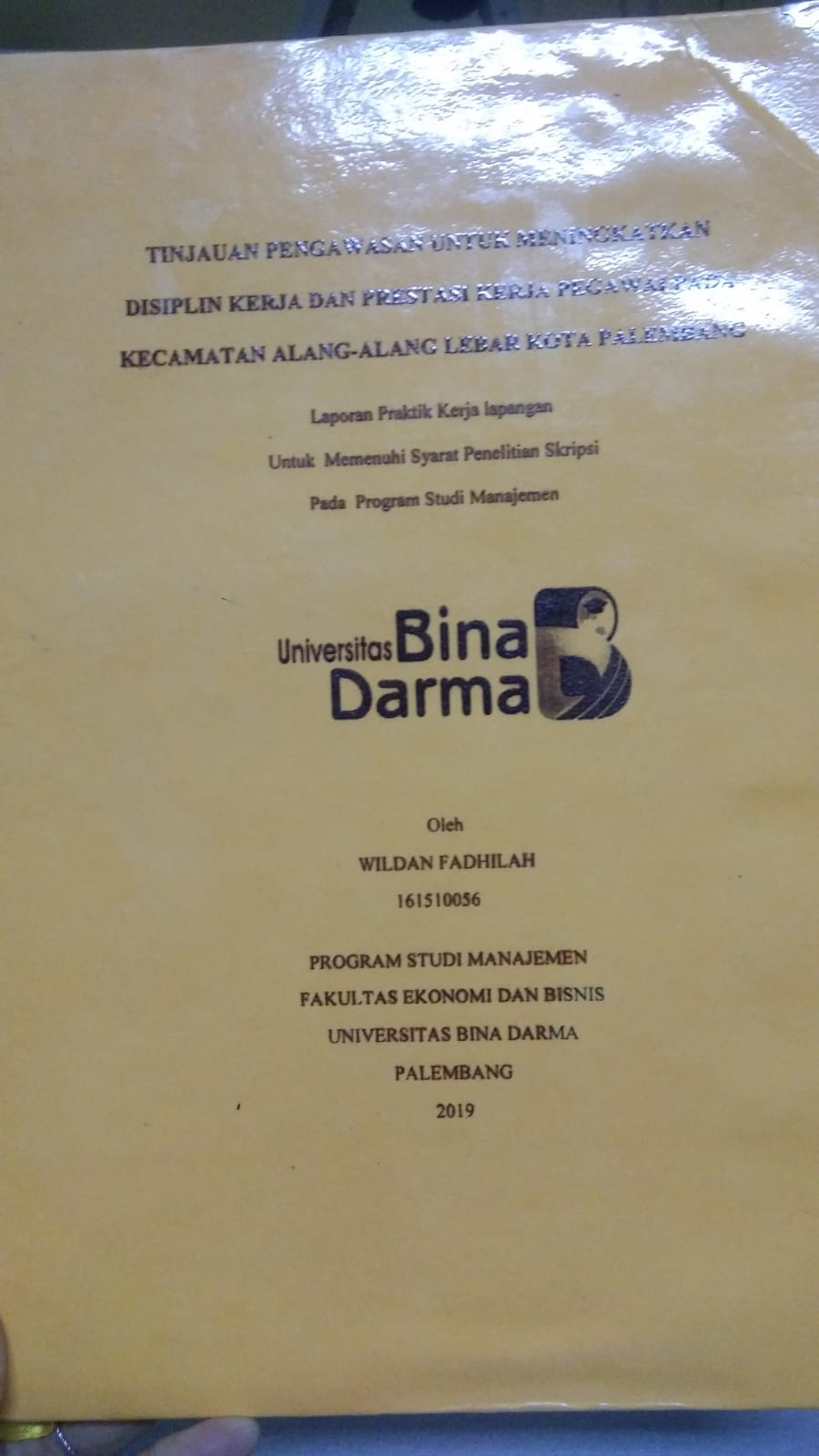 Cover TINJAUAN PENGAWASAN UNTUK MENINGKATKAN DISIPLIN KERJA DAN PRESTASI KERJA PEGAWAI PADA KECAMATAN ALANG-ALANG LEBAR KOTA PALEMBANG / WILDAN FADHILAH