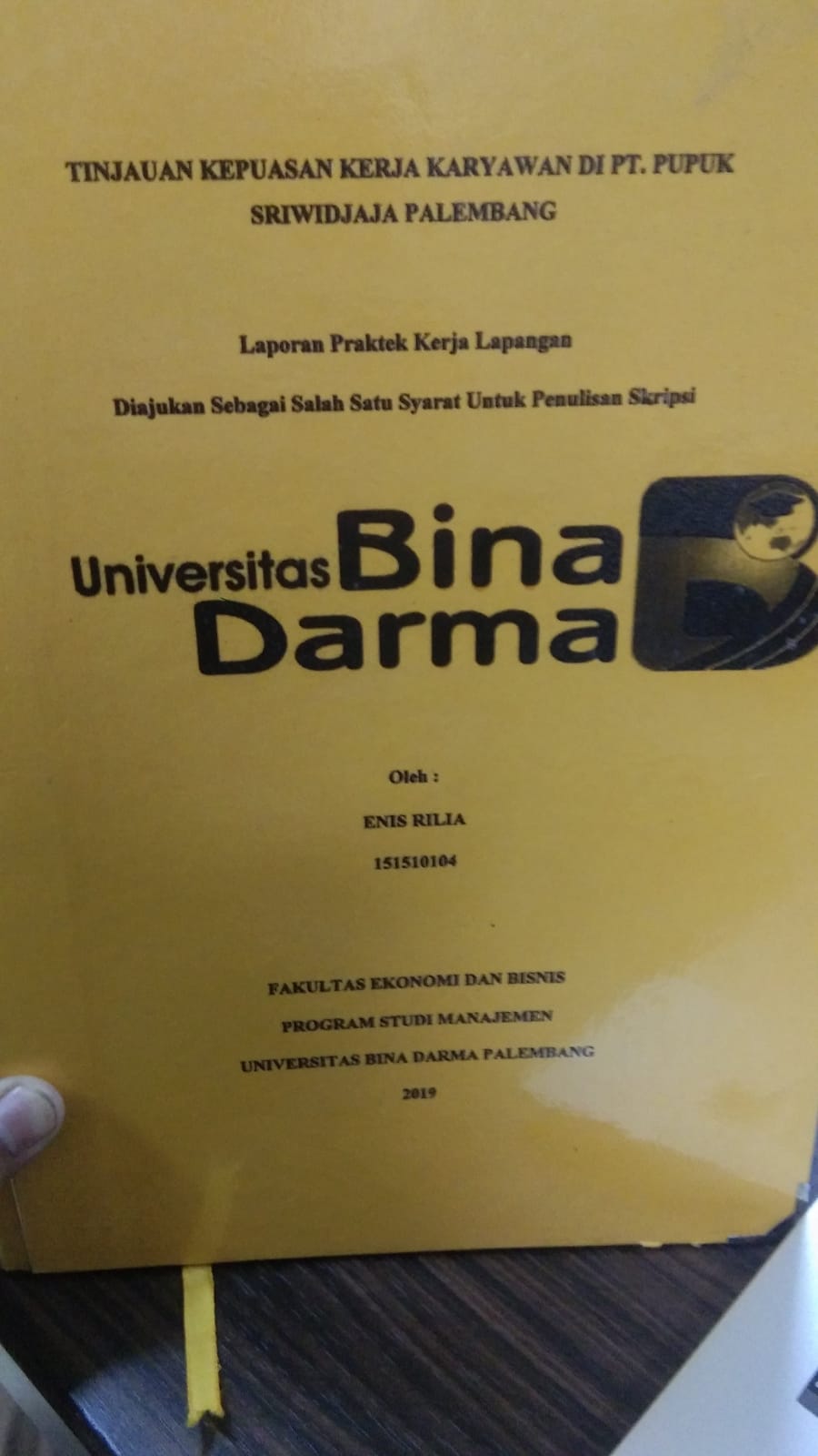 Cover TINJAUAN KEPUASAN KERJA KARYAWAN DI PT. PUPUK SRIWIDJAJA PALEMBANG / ENIS RILIA