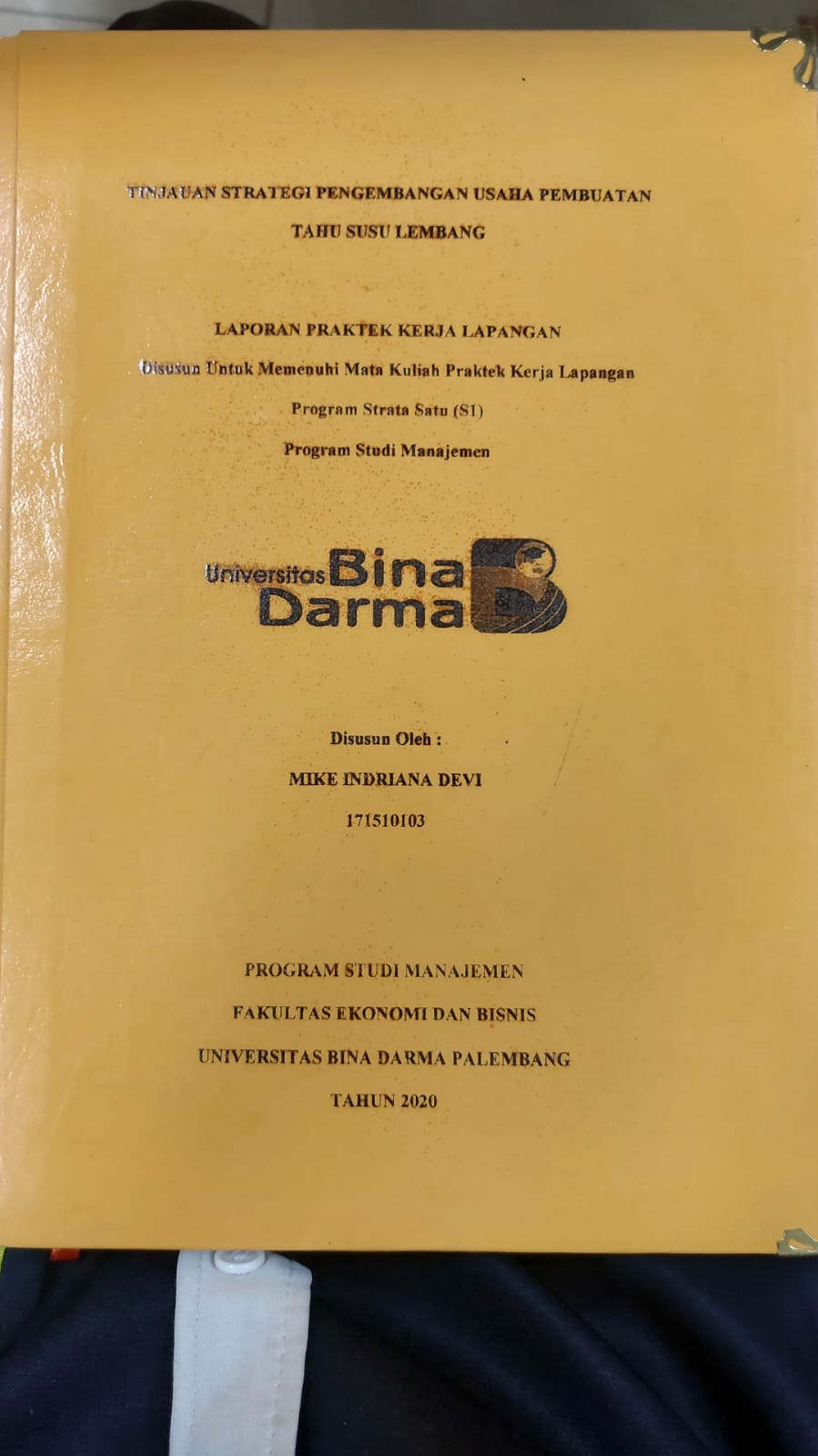 Cover TINJAUAN STRATEGI PENGEMBANGAN USAHA PEMBUATAN TAHU SUSU LEMBANG / MIKE INDRIANA DEVI