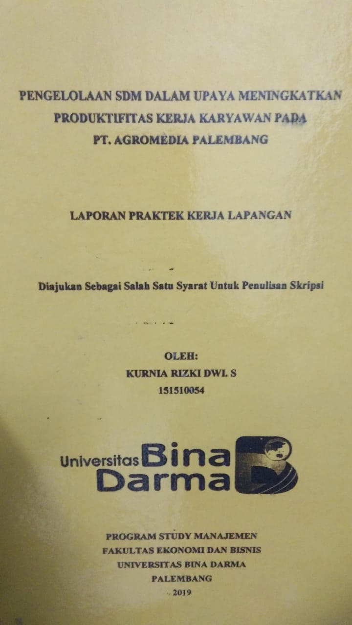 Cover PENGELOLAAN SDM DALAM UPAYA MENINGKATKAN PRODUKTIFITAS KERJA KARYAWAN PADA PT. AGROMEDIA PALEMBANG / KURNIA RIZKI DWI. S