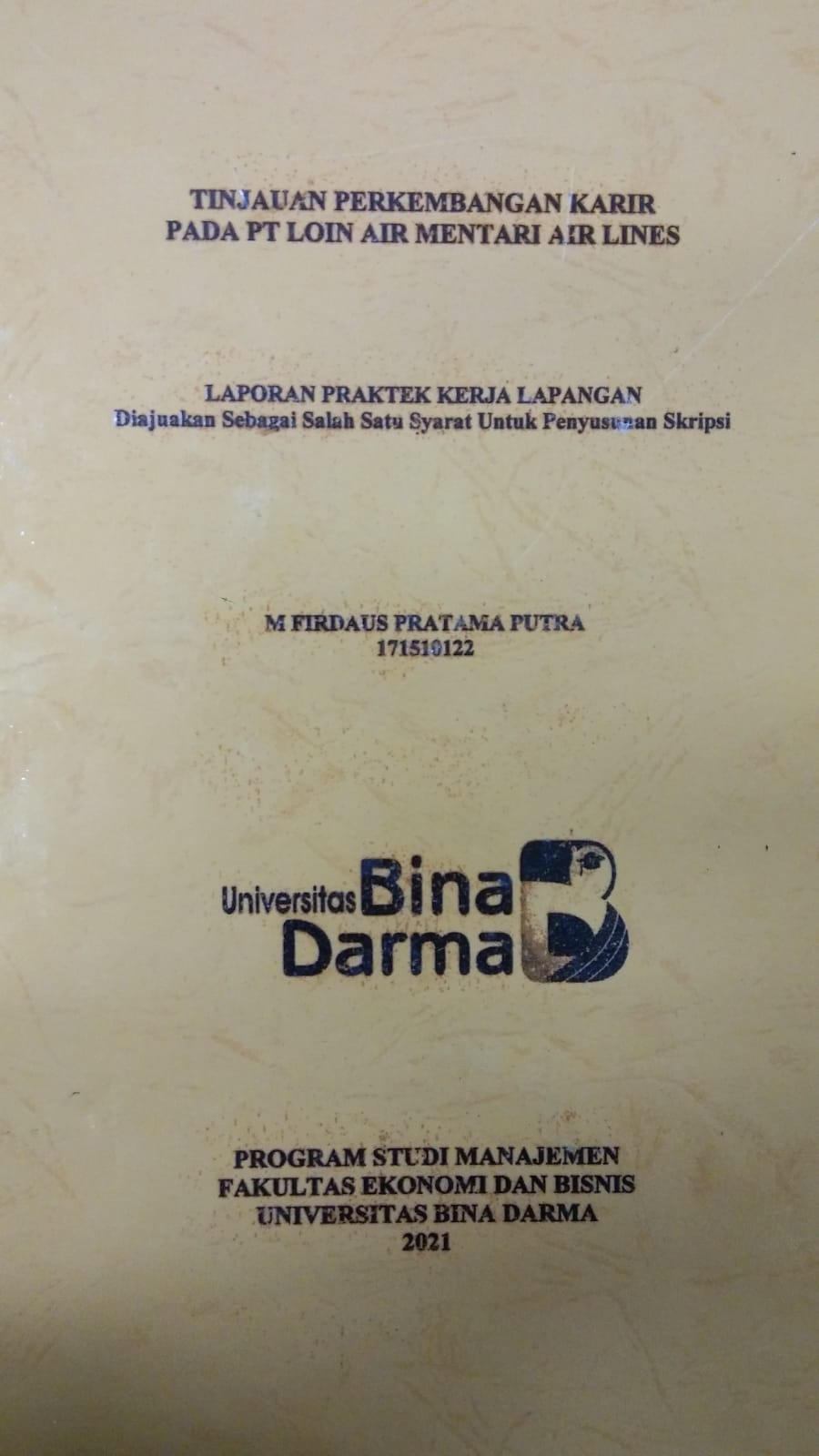 Cover TINJAUAN PENGEMBANGAN KARIR PADA PT LION AIR MENTARI AIR LINES / M FIRDAUS PRATAMA PUTRA