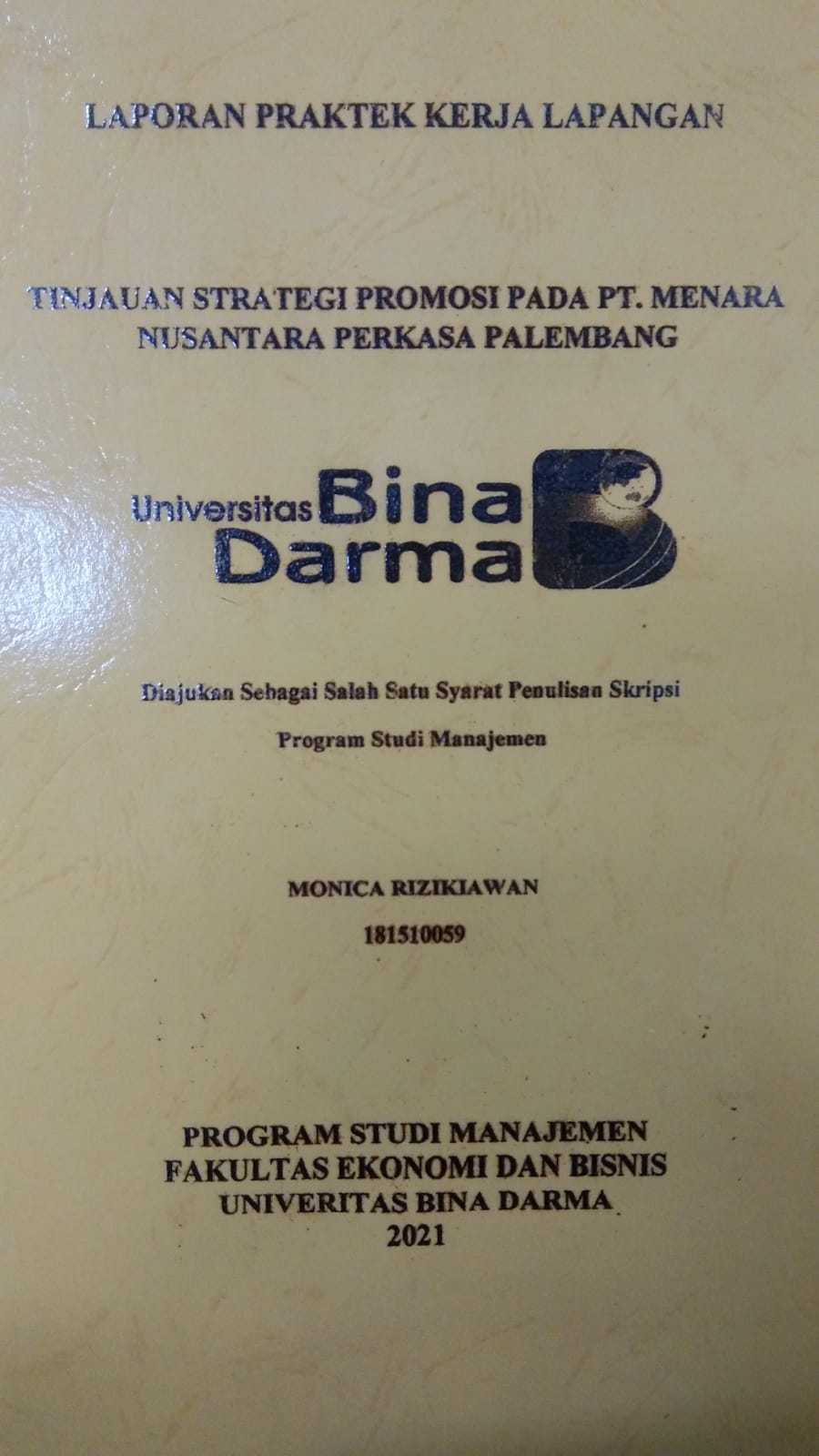 Cover TINJAUAN STRATEGI PROMOSI PADA PT. MENARA NUSANTARA PERKASA PALEMBANG / MONICA RIZIKIAWAN