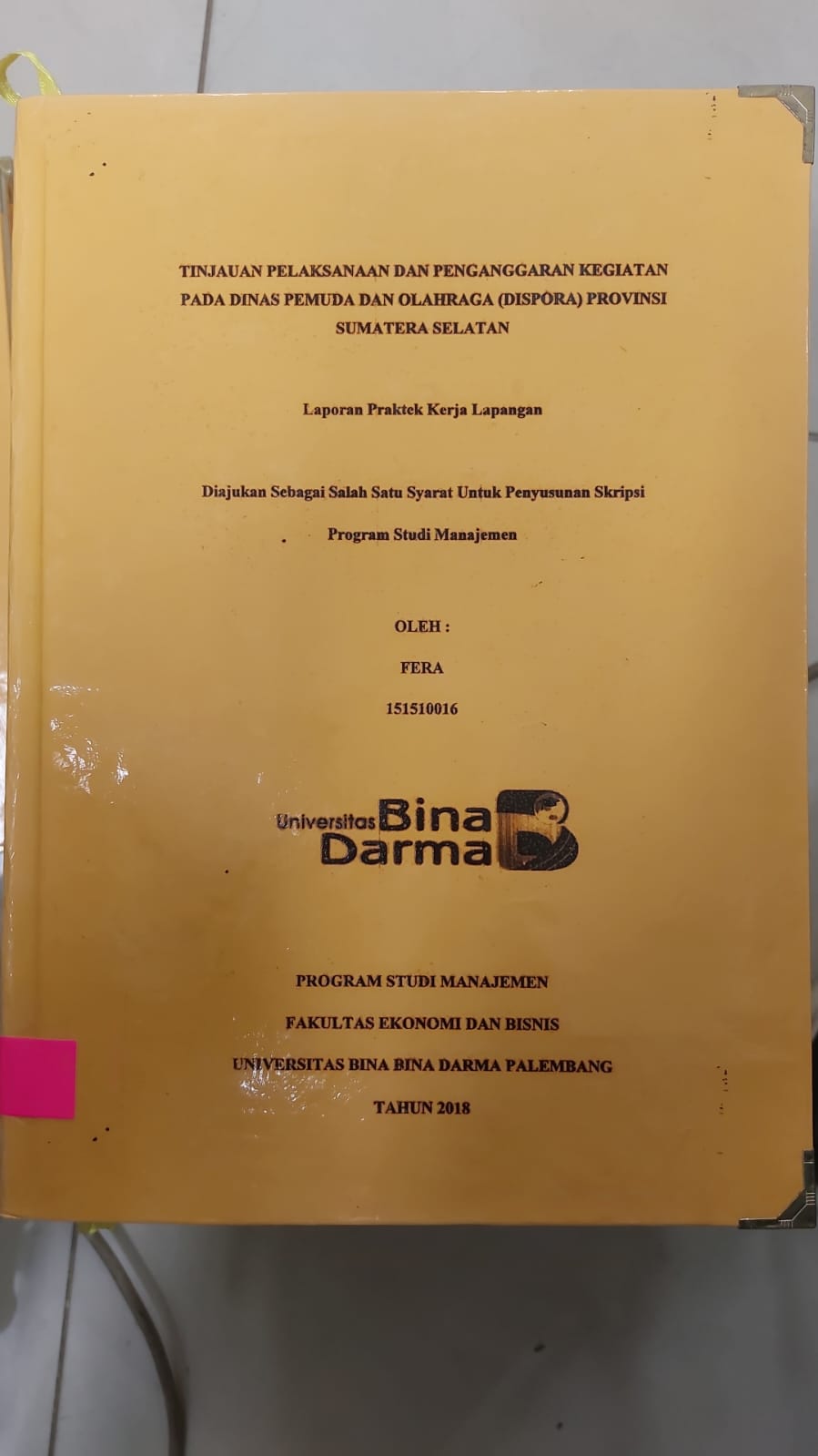 Cover TINJAUAN PELAKSANAAN DAN PENGANGGARAN KEGIATAN PADA DINAS PEMUDA DAN OLAHRAGA (DISPORA) PROVINSI / FERA