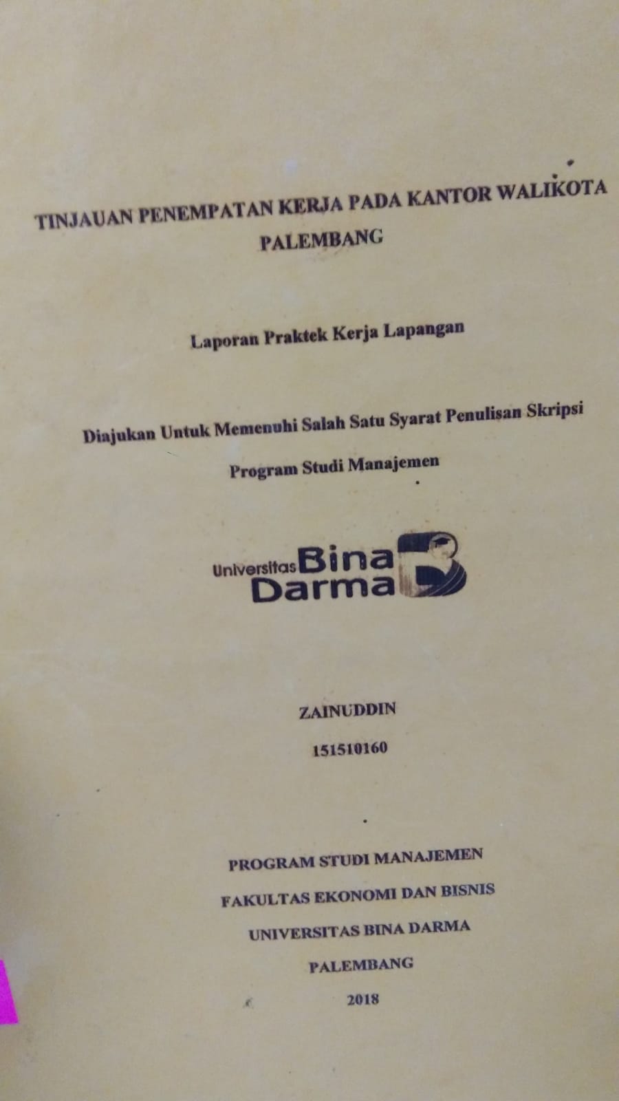 Cover TINJAUAN PENEMPATAN PADA KANTOR WALIKOTA PALEMBANG / ZAINUDDIN