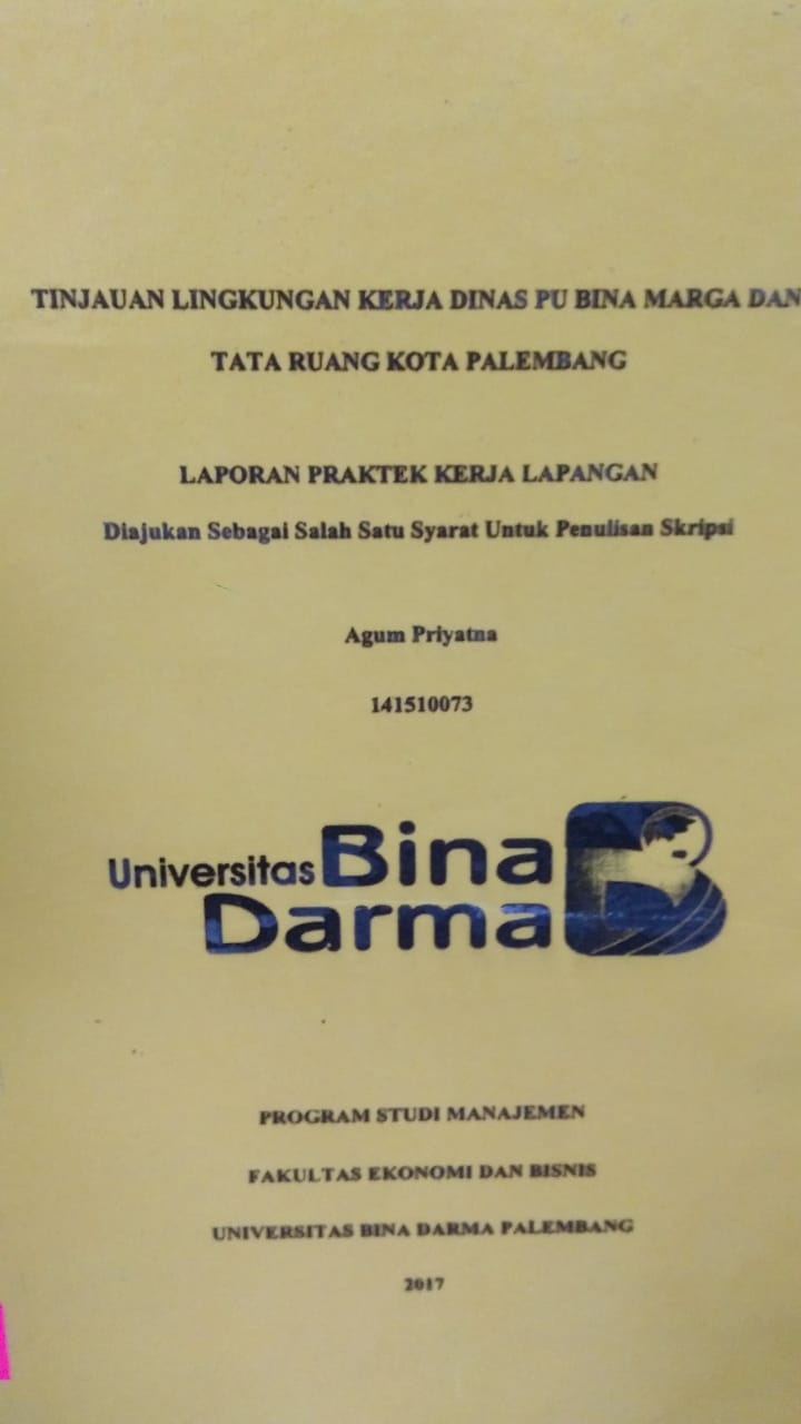 Cover TINJAUAN LINGKUNGAN KERJA DINAS PU BINA MARGA DAN TATA RUANG KOTA PALEMBANG / AGUM PRIYATNA