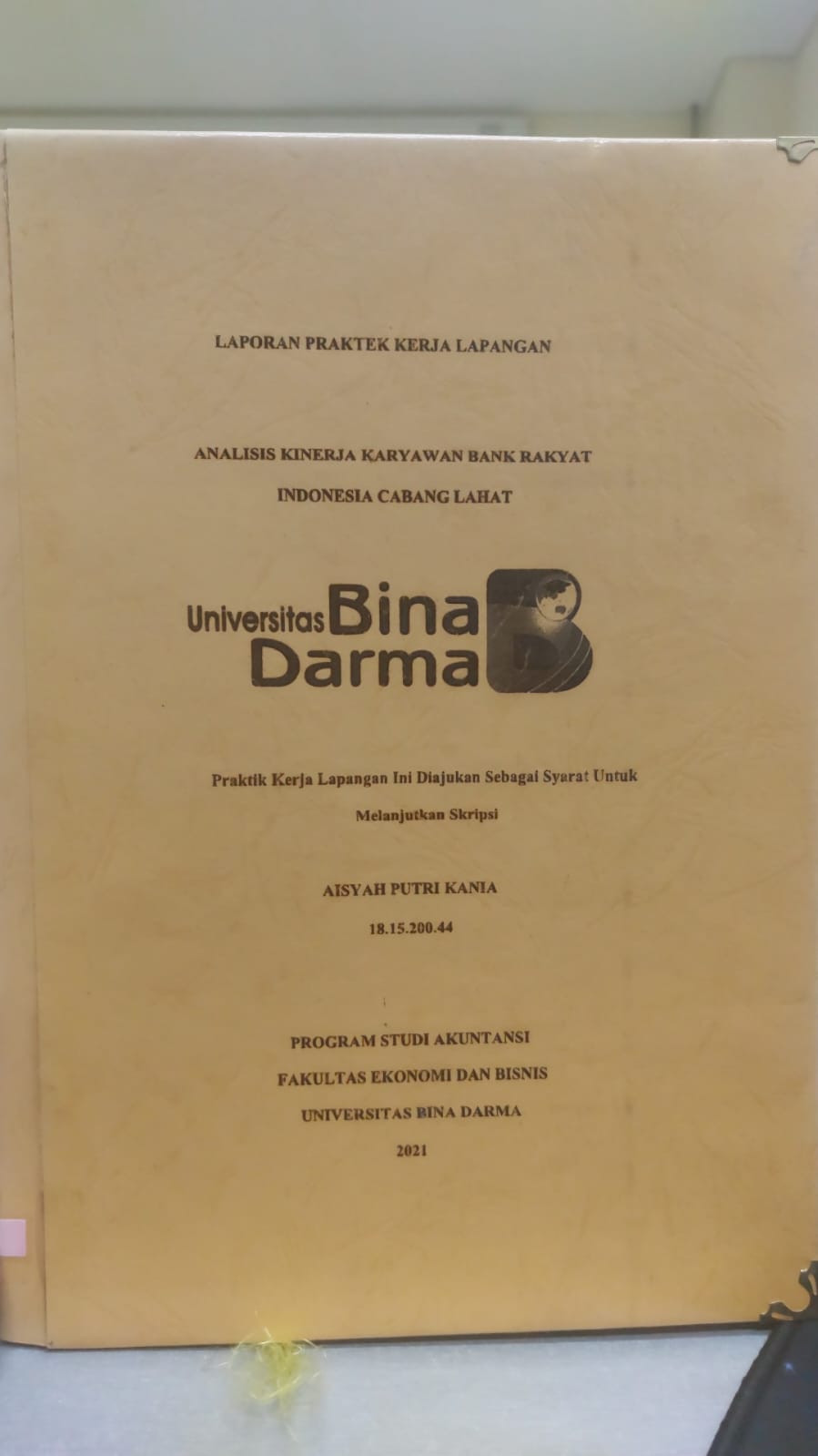 Cover ANALISIS KINERJA KARYAWAN BANK RAKYAT INDONESIA CABANG LAHAT / AISYAH PUTRI KANIA
