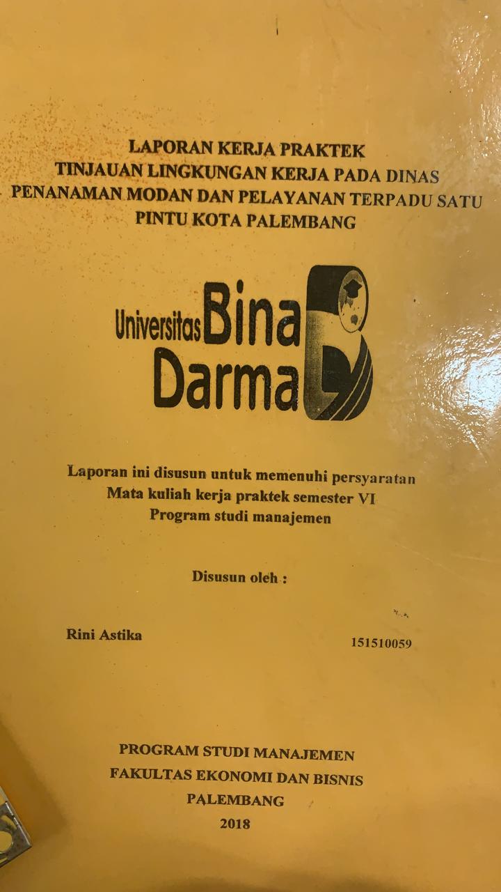 Cover TINJAUAN LINGKUNGAN KERJA PADA DINAS PENANAMAN MODAL DAN PELAYANAN TERPADU SATU PINTU KOTA PALEMBANG / RINI ASTIKA