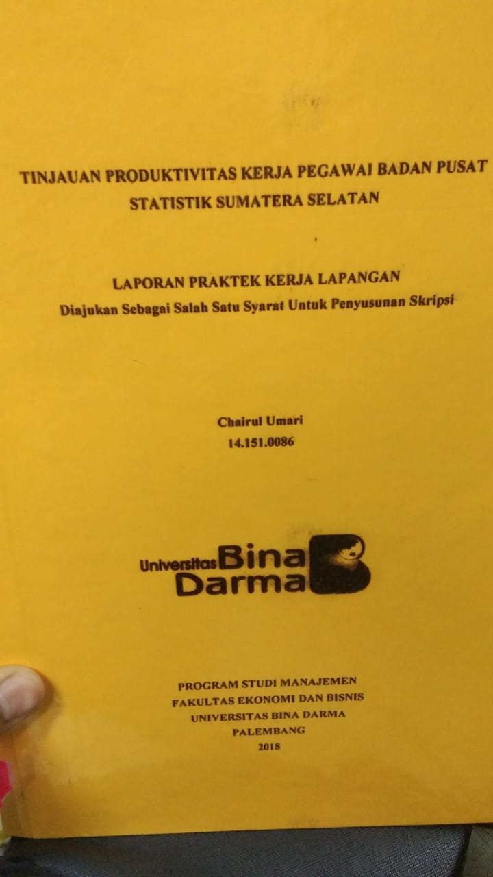 Cover TINJAUAN PRODUKTIVITAS KERJA PEGAWAI BADAN PUSAT STATISTIK SUMATERA SELATAN / CHAIRUL UMARI