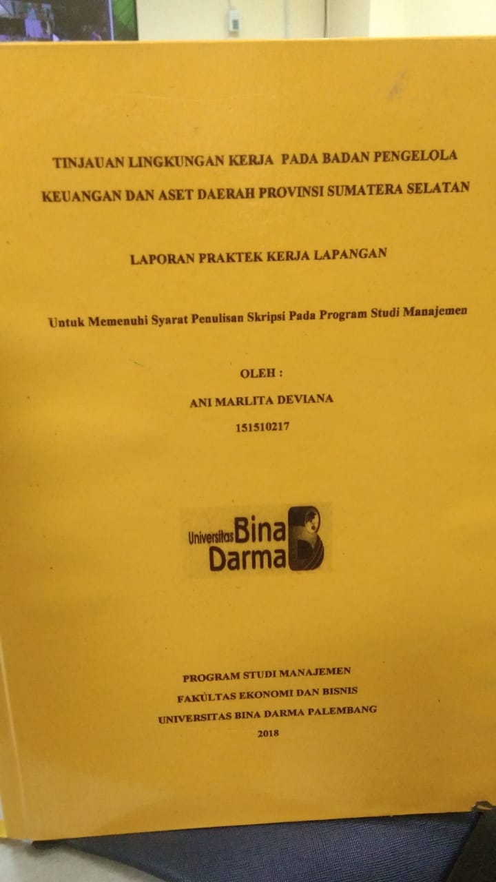 Cover TINJAUAN LINGKUNGAN KERJA PADA BADAN PENGELOLA KEUANGAN DAN ASET DAERAH PROVINSI SUMATERA SELATAN / ANI MARLITA DEVIANA