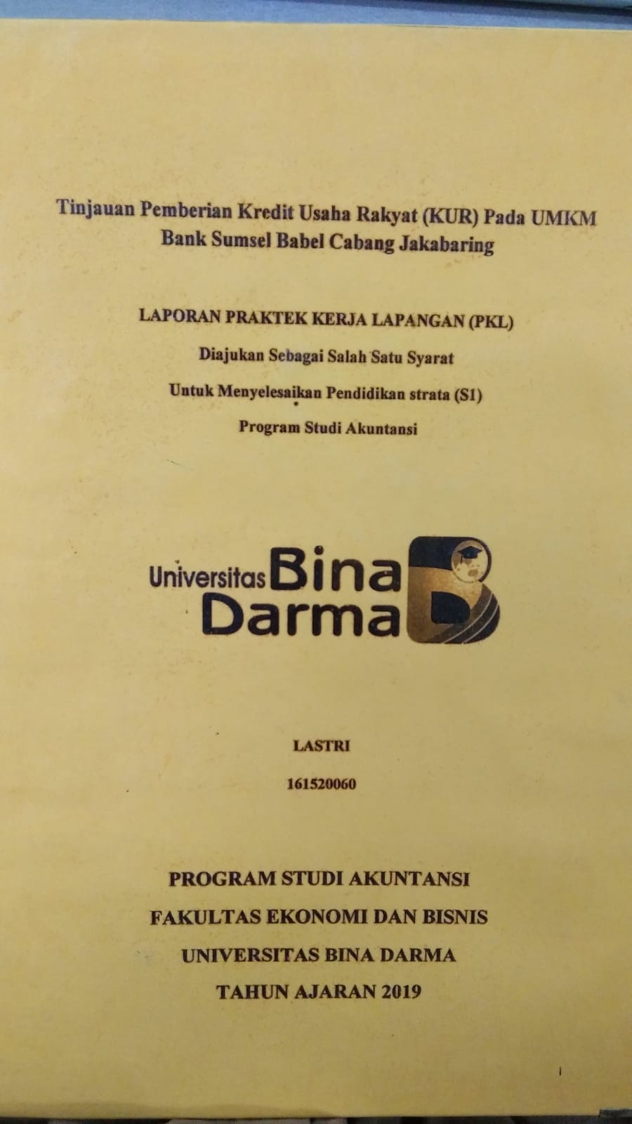Cover TINJAUAN PEMBERIAN KREDIT USAHA RAKYAT (KUR) PADA UMKM BANK SUMSEL BABEL CABANG JAKABARING / LASTRI