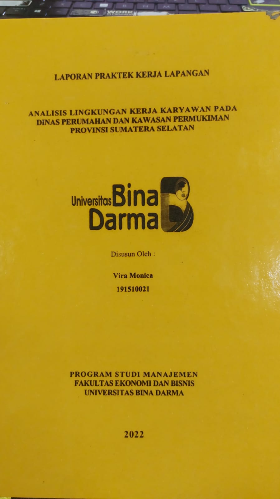 Cover ANALISIS LINGKUNGAN KERJA KARYAWAN PADA DINAS PERUMAHAN DAN KAWASAN PEMUKIMAN PROVINSI SUMATERA SELATAN / VIRA MONICA