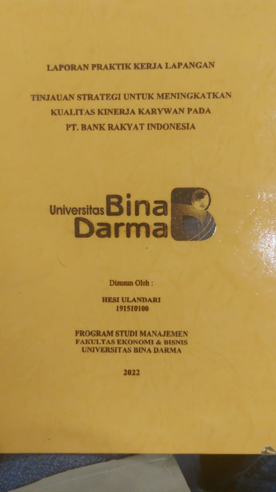 Cover TINJAUAN STRATEGI UNTUK MENINGKATKAN KUALITAS KINERJA KARYAWAN PADA PT.BANK RAKYAT INDONESIA / HESI ULANDARI
