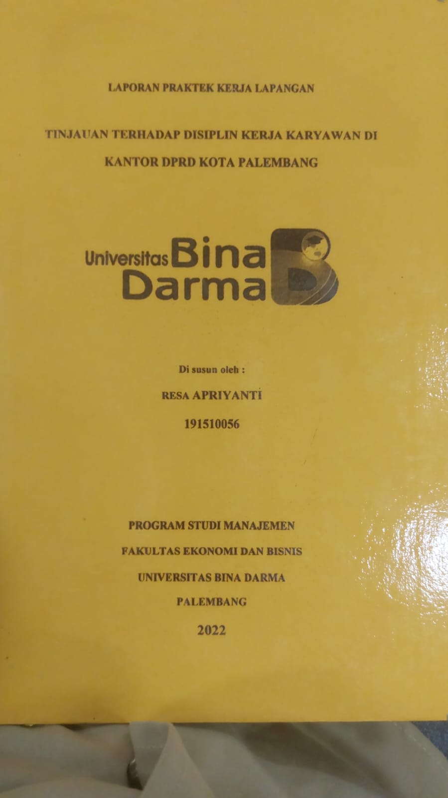 Cover TINJAUAN TERHADAP DISIPLIN KERJA KARYAWAN DI KANTOR DPRD KOTA PALEMBANG / RESA APRIYANTI