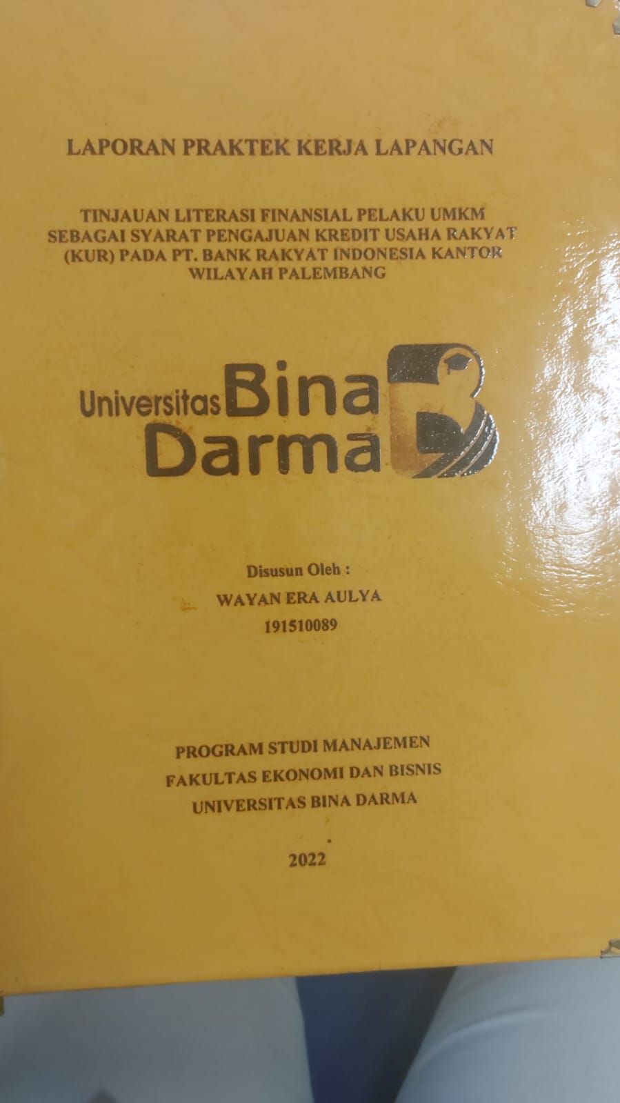 Cover TINJAUAN LITERASI FINANSIAL PELAKU UMKM SEBAGAI SYARAT PENGAJUAN KREDIT USAHA RAKYAT (KUR) PADA P.BANK RAKYAT INDONESIA KANTOR WILAYAH PALEMBANG / WAYAN ERA  AULYA