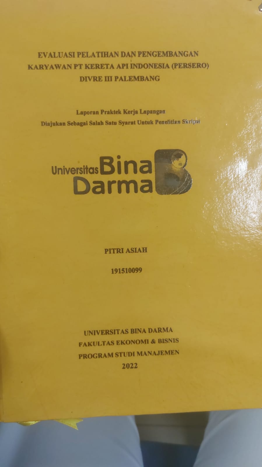 Cover EVALUASI PELATIHAN DAN PENGEMBANGAN KARYAWAN PT KERETA API INDONESIA PERSERO DIVRE III PALEMBANG / PITRI ASIAH