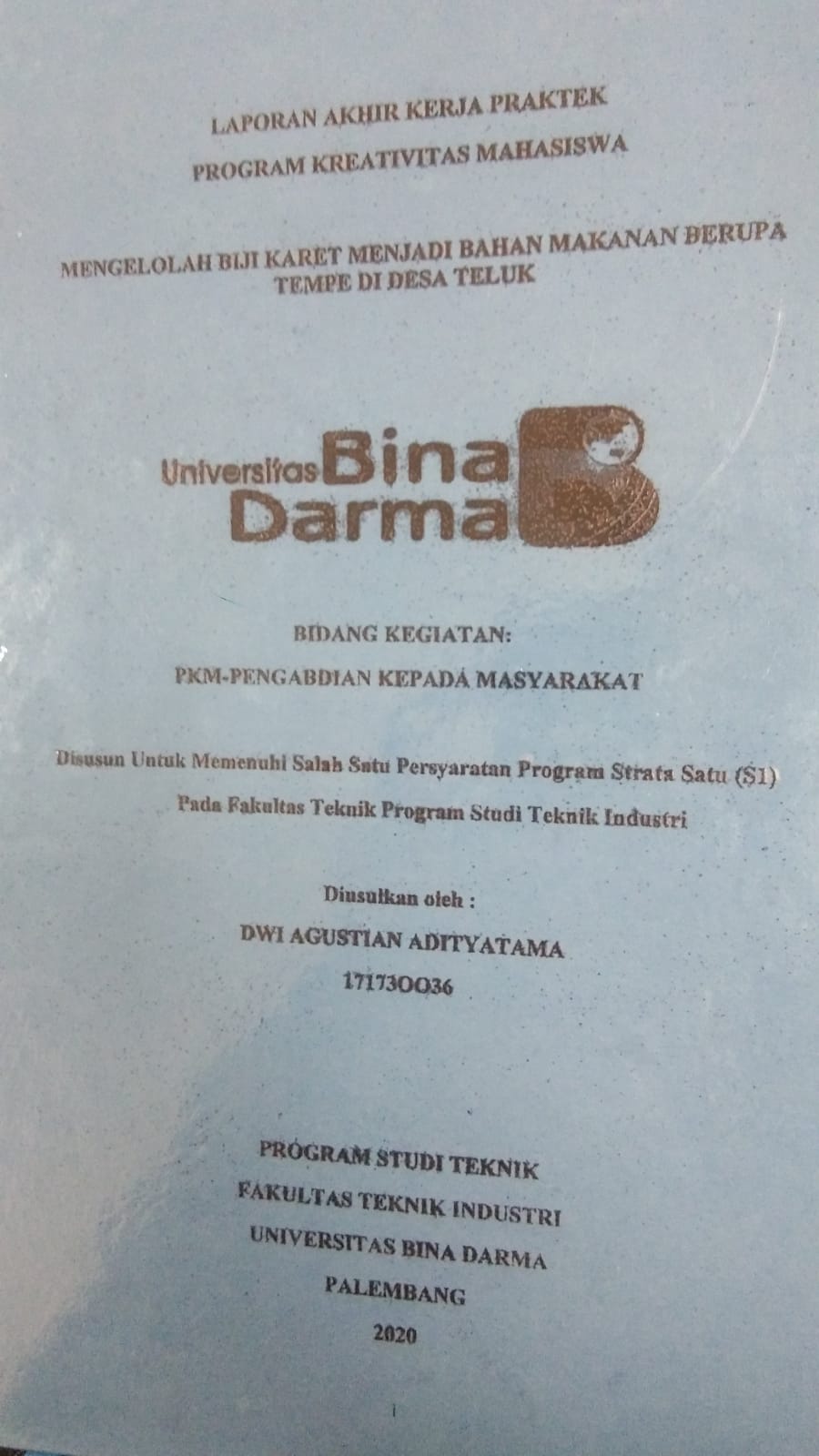 Cover MENGELOLAH BIJI KARET MENJADI BAHAN MAKANAN BERUPA TEMPE DI DESA TELUK / DWI AGUSTIAN ADITYATAMA