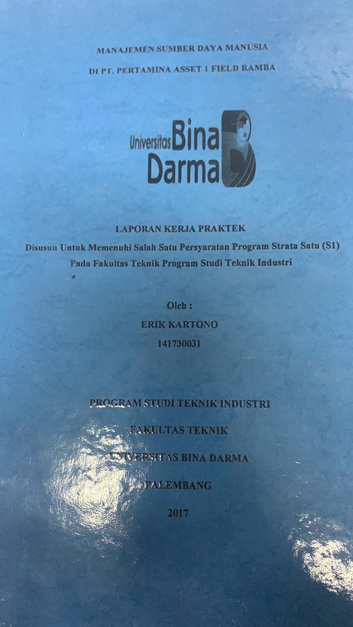 Cover MANAJEMEN SUMBER DAYA MANUSIA DI PT PERTAMINA ASSET 1 FIELD RAMBA / ERIK KARTONO