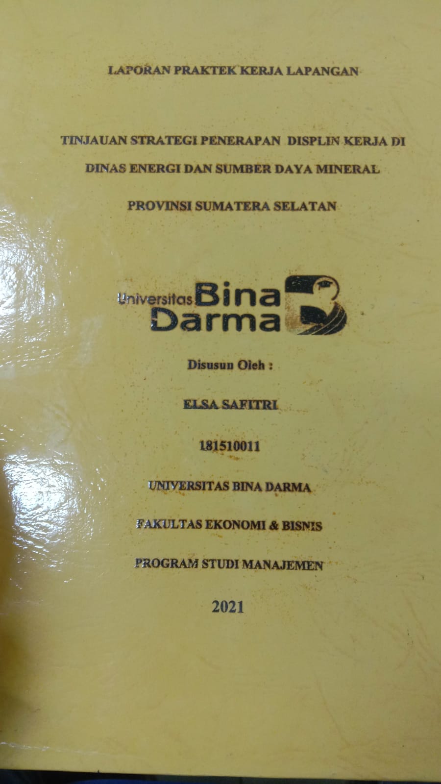 Cover TINJAUAN STRATEGI PENERAPAN DISIPLIN KERJA DI DINAS ENERGI DAN SUMBER DAYA MINERAL PROVINSI SUMATERA SELATAN / ELSA SAFITRI