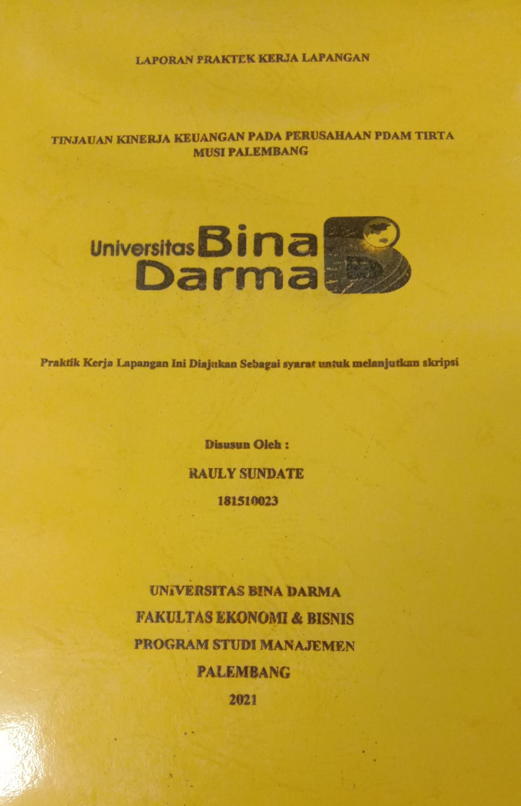 Cover TINJAUAN KINERJA KEUANGAN PADA PERUSAHAAN PDAM TIRTA MUSI PALEMBANG / RAULY SUNDATE