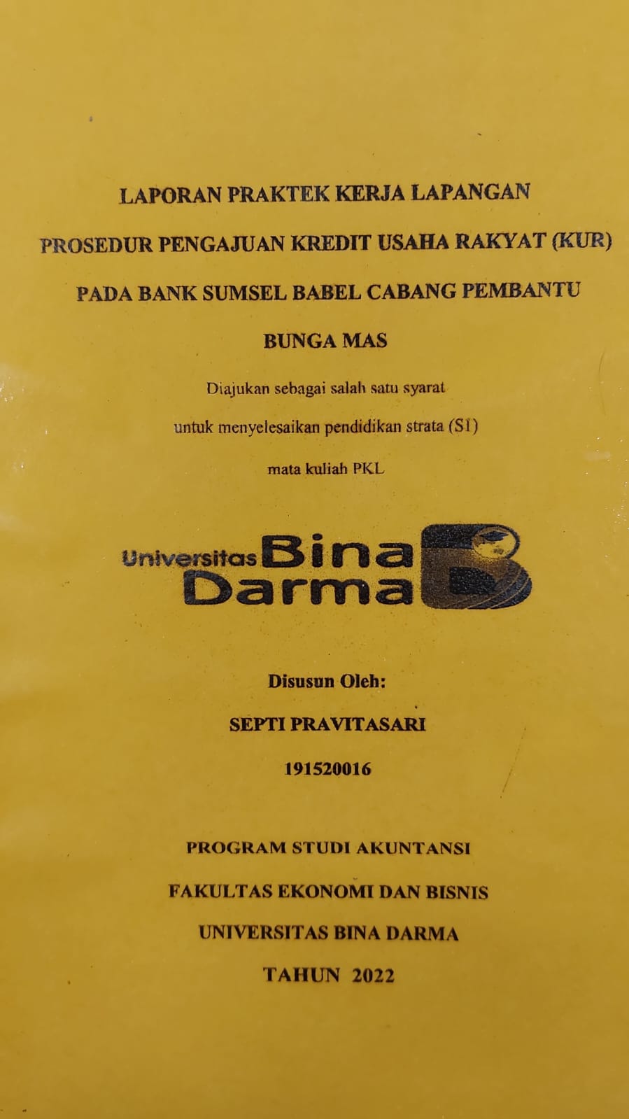 Cover PROSEDUR PENGAJUAN KREDIT USAHA RAKYAT (KUR) PADA BANK SUMSEL BABEL CABANG PEMBANTU BUNGAMAS / SEPTI PRAVITASARI