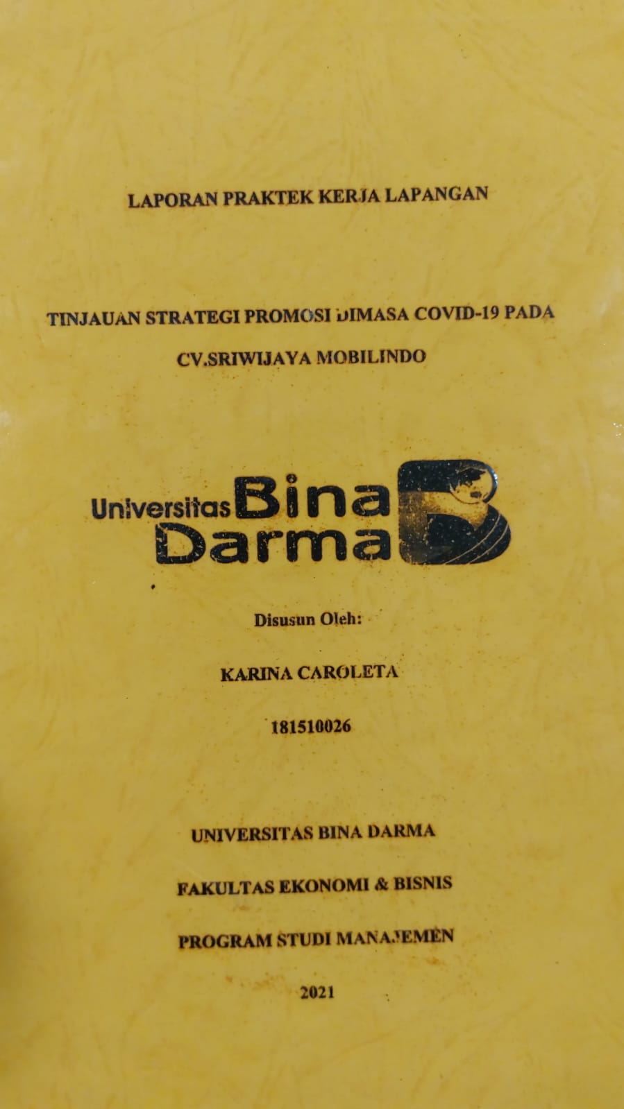 Cover TINJAUAN STRATEGI PROMOSI DIMASA COVID-19 PADA CV.SRIWIJAYA MOBILINDO / KARINA CAROLETA