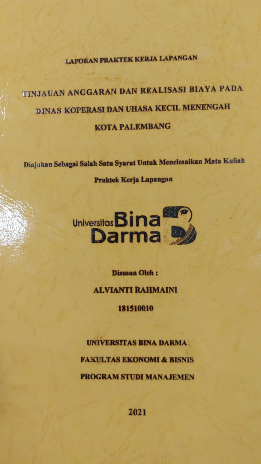Cover TINJAUAN ANGGARAN DAN REALISASI BIAYA PADA DINAS KOPERASI DAN USAHA KECIL MENENGAH KOTA PALEMBANG / ALVIANTI RAHMAINI