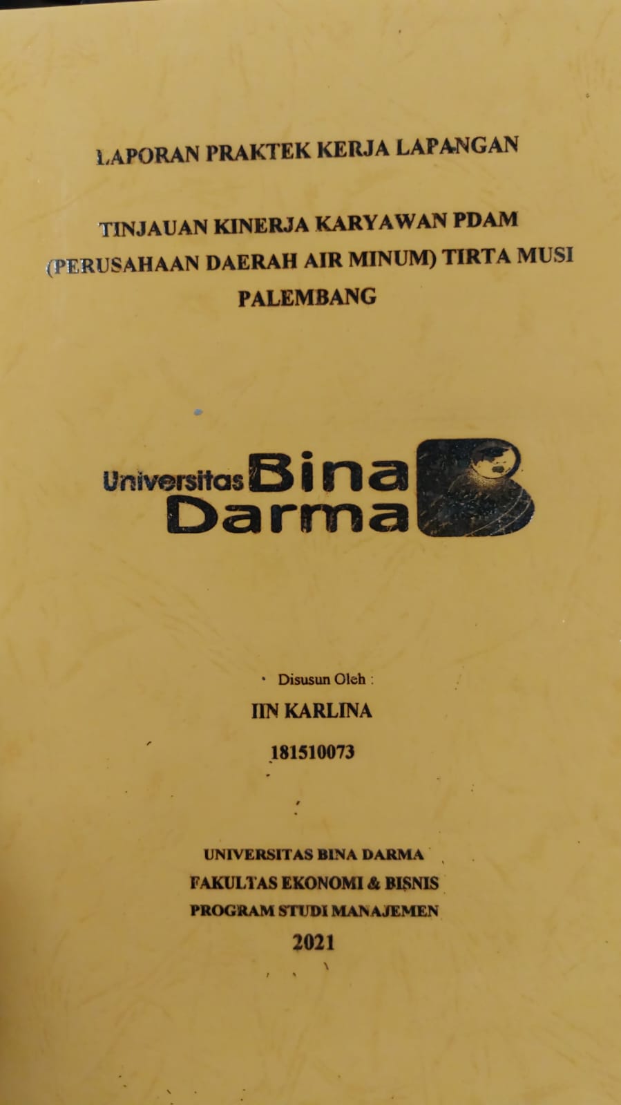 Cover TINJAUAN KINERJA KARYAWAN PDAM (PERUSAHAAN DAERAH AIR MINUM) TIRTA MUSI PALEMBANG / IIN KARLINA