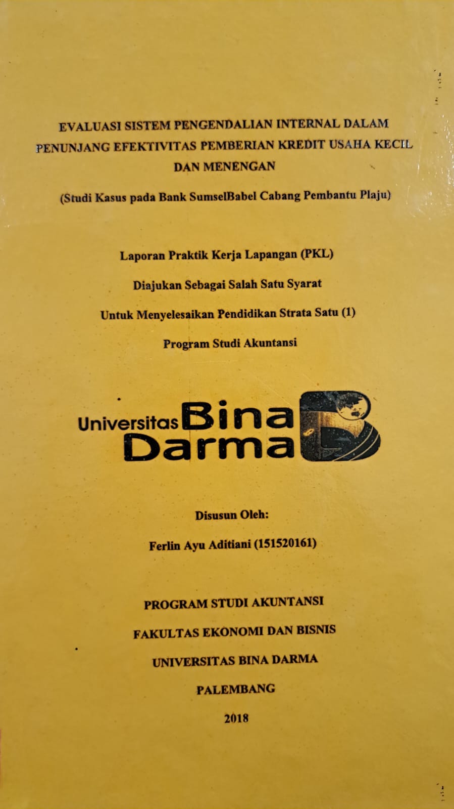 Cover EVALUASI SISTEM PENGENDALIAN INTERNAL DALAM PENUNJANG EFEKTIVITAS PEMBERIAN KREDIT USAHA KECIL DAN MENENGAH / FERLIN AYU ADITIANI