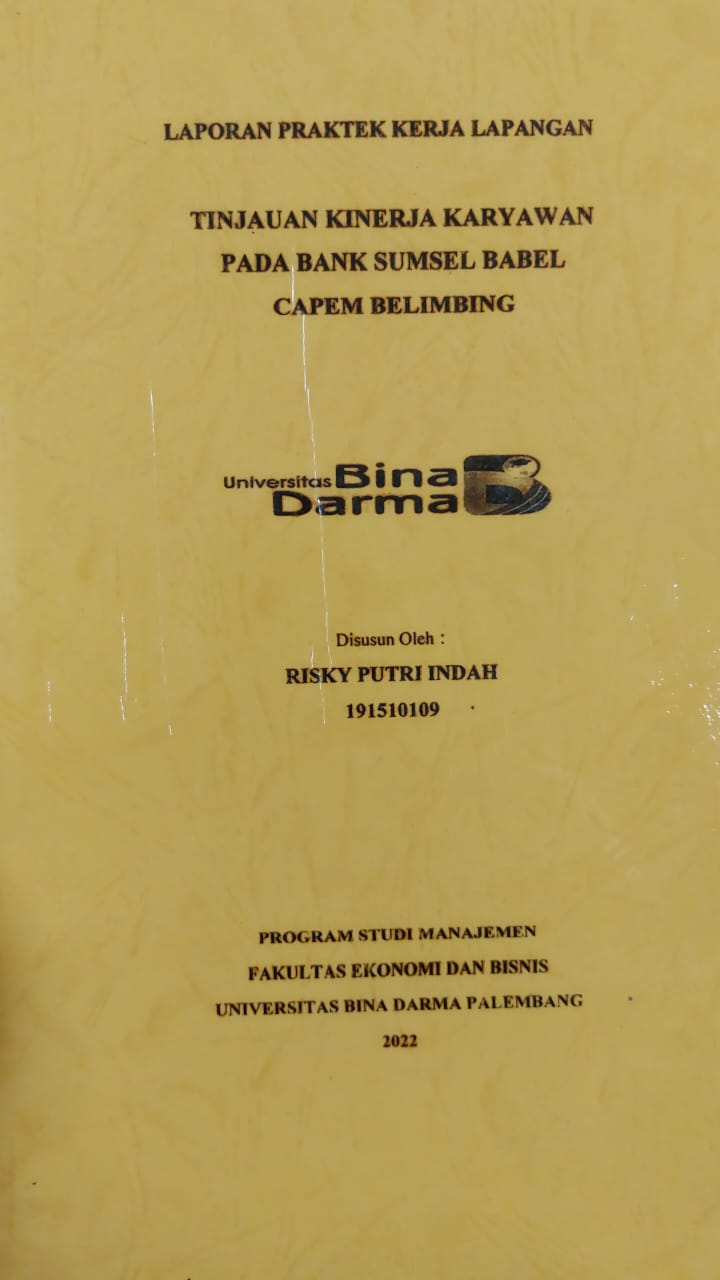 Cover TINJAUAN KEPUASAN KINERJA KARYAWAN PADA DINAS PERUMAHAN DAN KAWASAN PEMUKIMAN PROVINSI SUMATERA SELATAN / DIMAS ANDIKA SAPUTRA