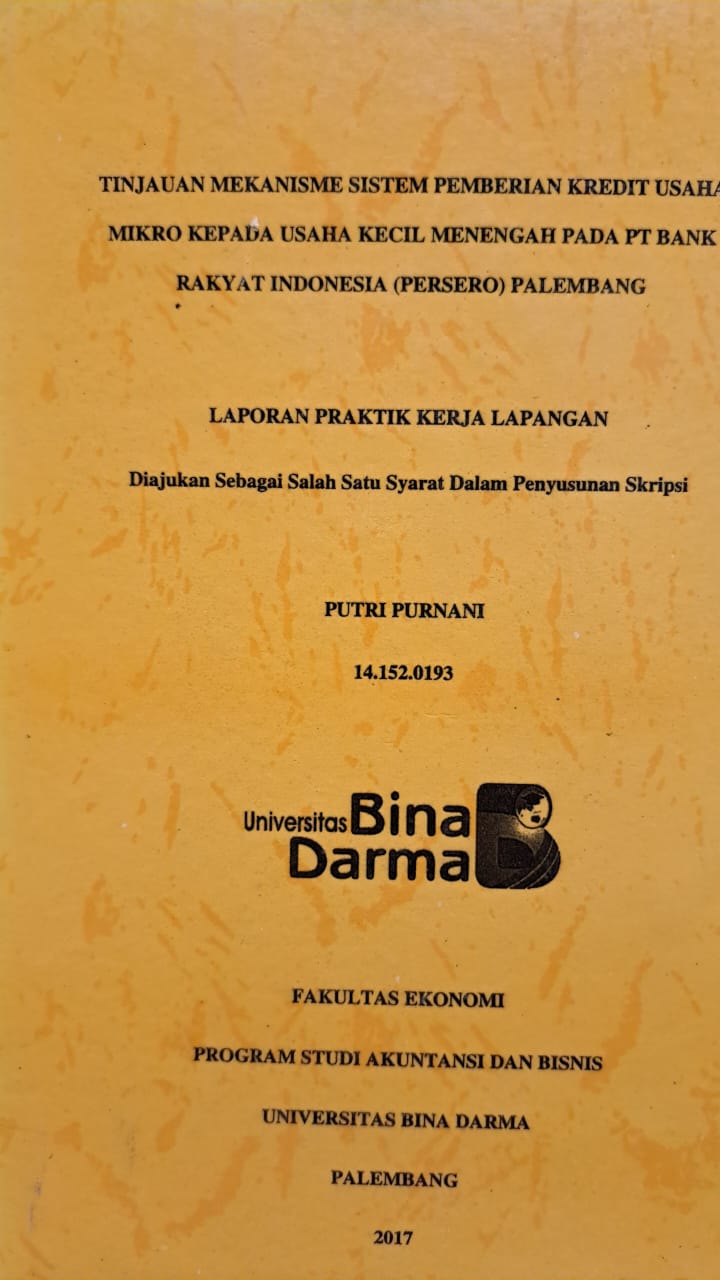 Cover TINJAUAN MEKANISME SISTEM PEMBERIAN KREDIT USAHA MIKRO KEPADA USAHA KECIL MENENGAH PADA PT BANK RAKYAT INDONESIA (PERSERO) PALEMBANG / PUTRI PURNANI