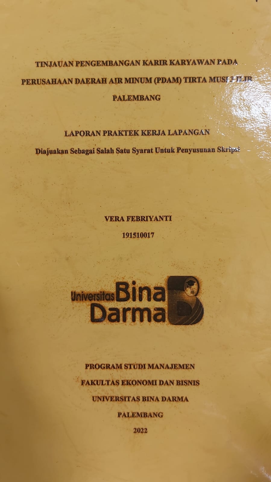 Cover TINJAUAN PENGEMBANGAN KARIR KARYAWAN PADA PERUSAHAAN DAERAH AIR MINUM (PDAM) TIRTA MUSI 3 ILIR PALEMBANG / VERA VEBRIANTI