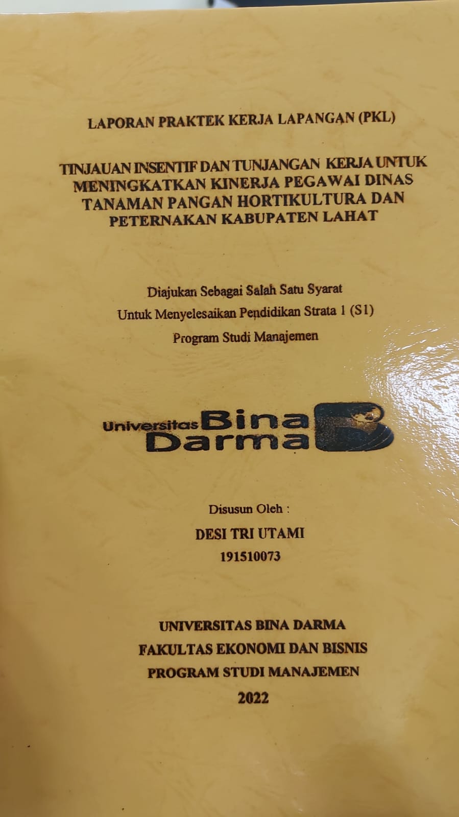 Cover TINJAUAN INSENTIF DAN TUNJANGAN KERJA UNTUK MENINGKATKAN KINERJA PEGAWAI DINAS TANAMAN PANGAN HORTIKULTURAL DAN PERTERNAAN KABUPATEN LAHAT / DESI TRI UTAMI