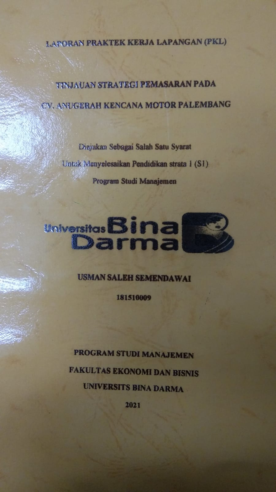 Cover TINJAUAN STRATEGI PEMASARAN PADA CV. ANUGERAH KENCANA MOTOR PALEMBANG / USMAN SALEH SEMENDAWAI
