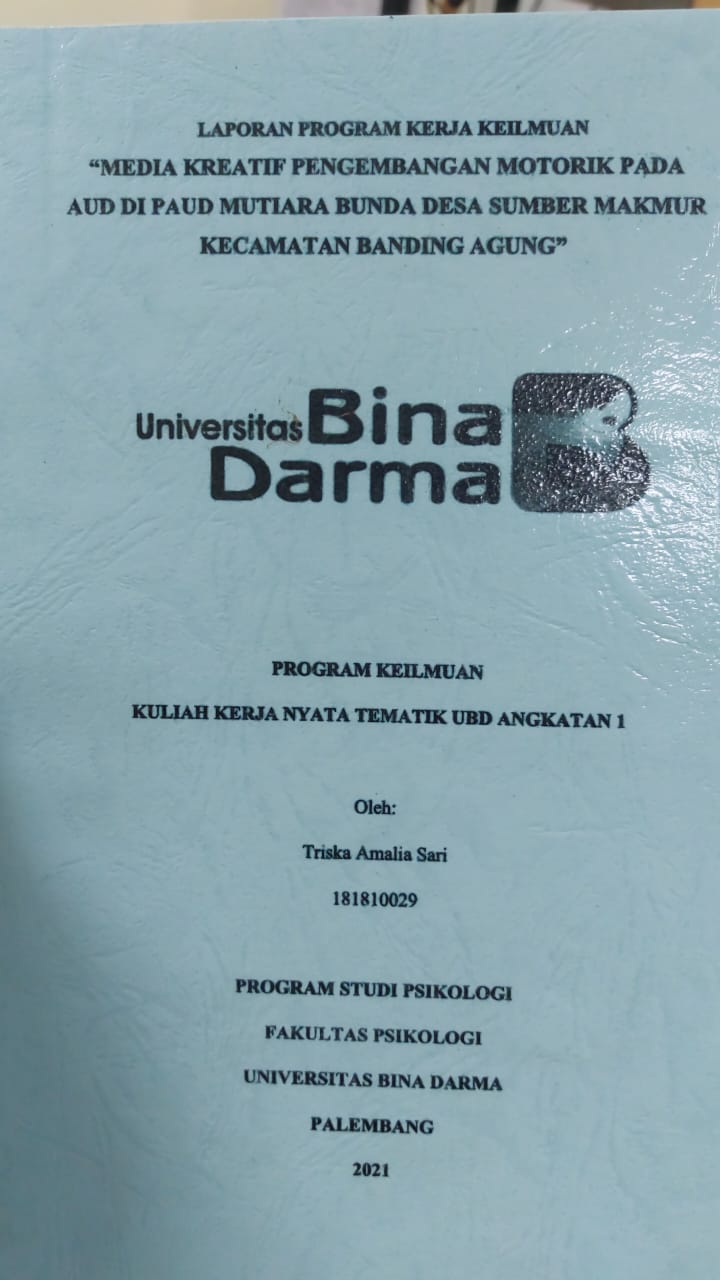 Cover MEDIA KREATIF PENGEMBANGAN MOTORIK PADA AUD DI PAUD MUTIARA BUNDA DESA SUMBER MAKMUR KECAMATAN BANDING AGUNG / TRISKA AMALIA SARI