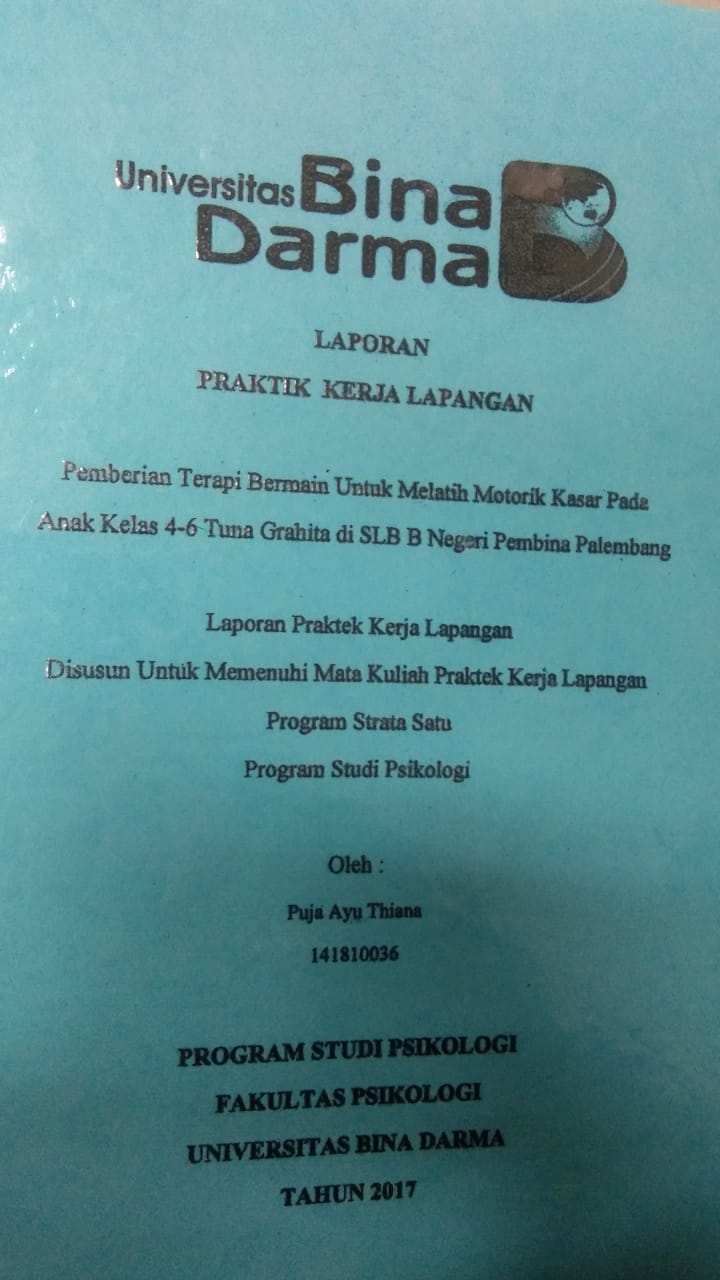 Cover PEMBERIAN TERAPI BERMAIN UNTUK MELATIH MOTORIK KASAR PADA ANAK KELAS 4-6 TUNA GRAHITA DI SLB B NEGERI PEMBINA PALEMBANG / PUJA AYU THIANA