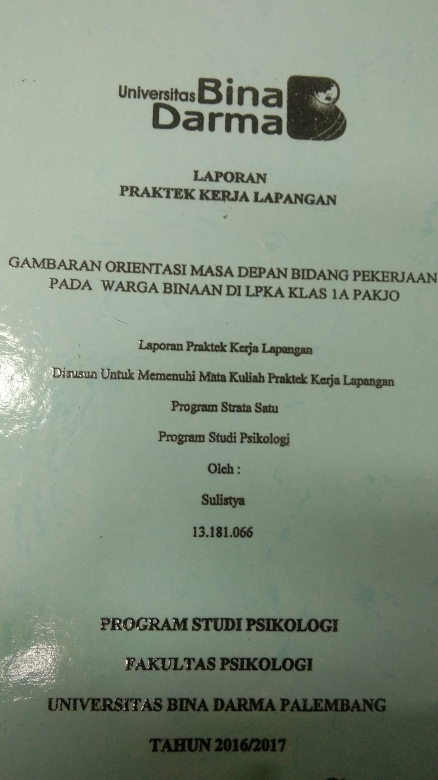 Cover GAMBARAN ORIENTASI MASA DEPAN BIDANG PEKERJAAN PADA WARGA BINAAN DI LPKA 1A PAKJO / SULISTYA