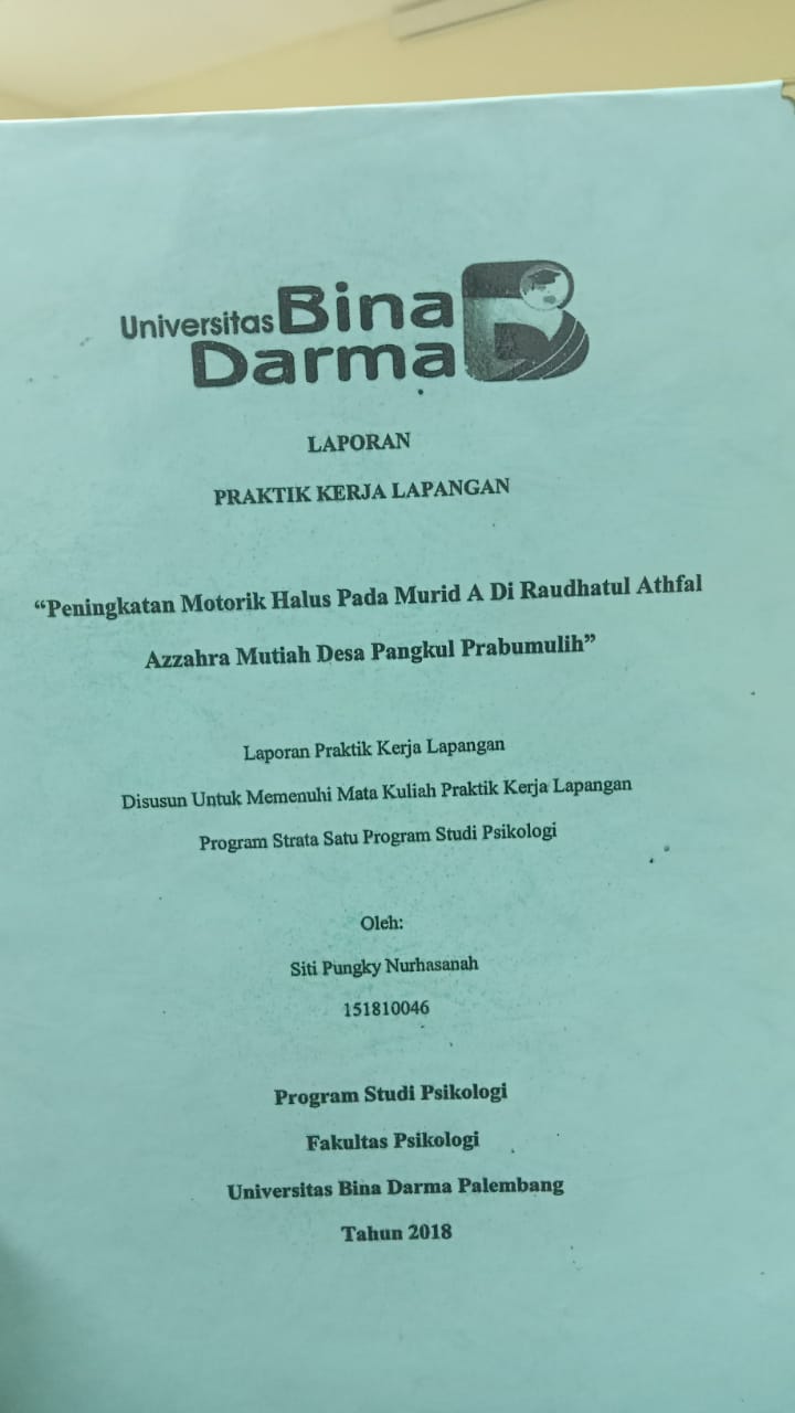 Cover PENINGKATAN MOTORIK HALUS PADA MURID A DI RAUDHATUL ATHFAL AZZAHRA MUTIAH DESA PANGKUL PRABUMULIH / SITI PUNGKY NURHASANAH